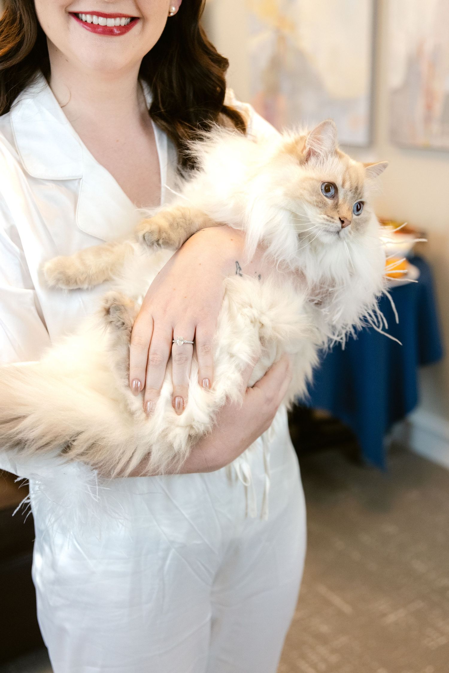 A fluffy cream-colored ragdoll cat being held by someone wearing a white outfit.