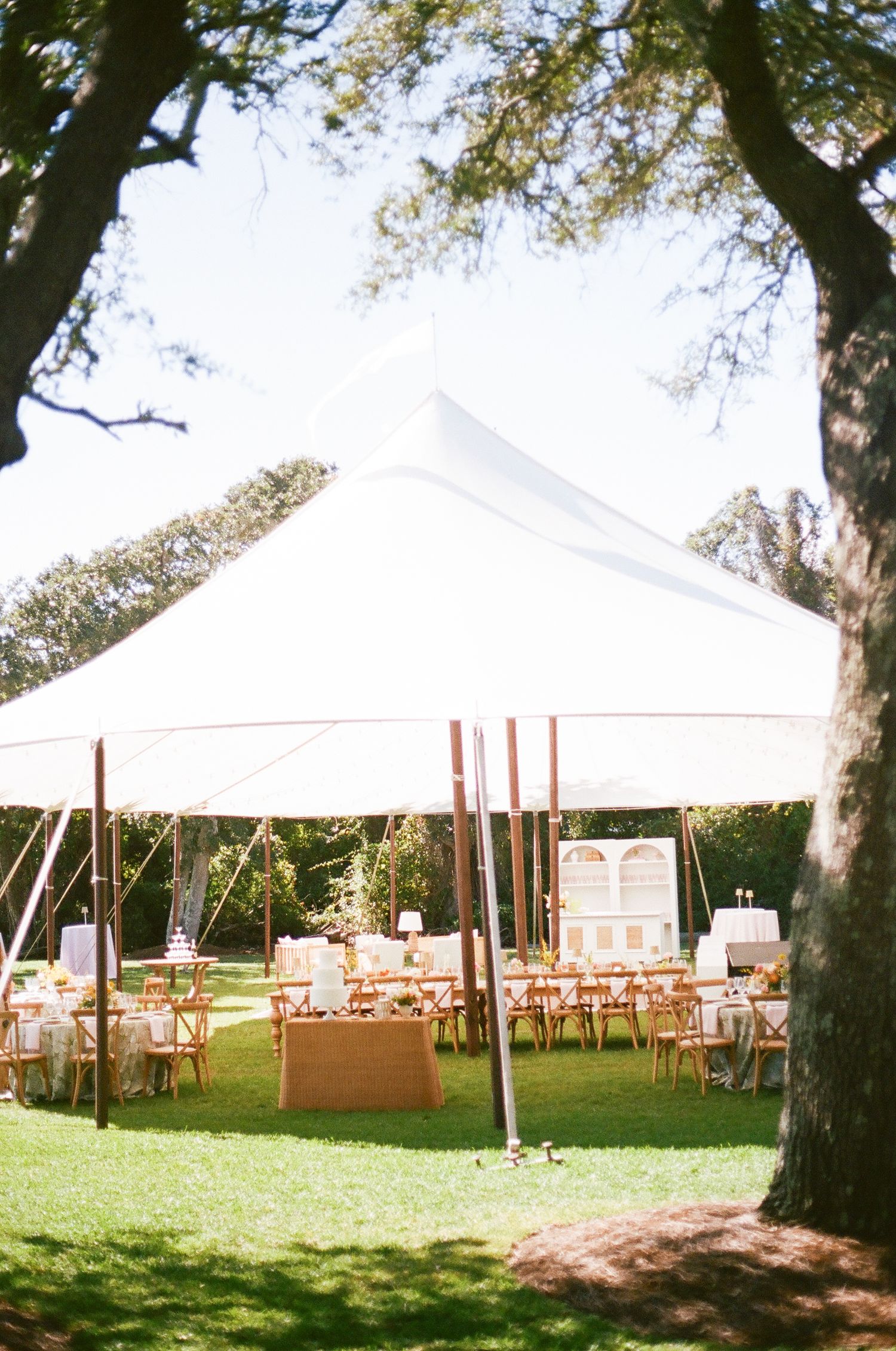 White wedding tent set up on a lawn with wooden chairs and tables beneath tall trees.