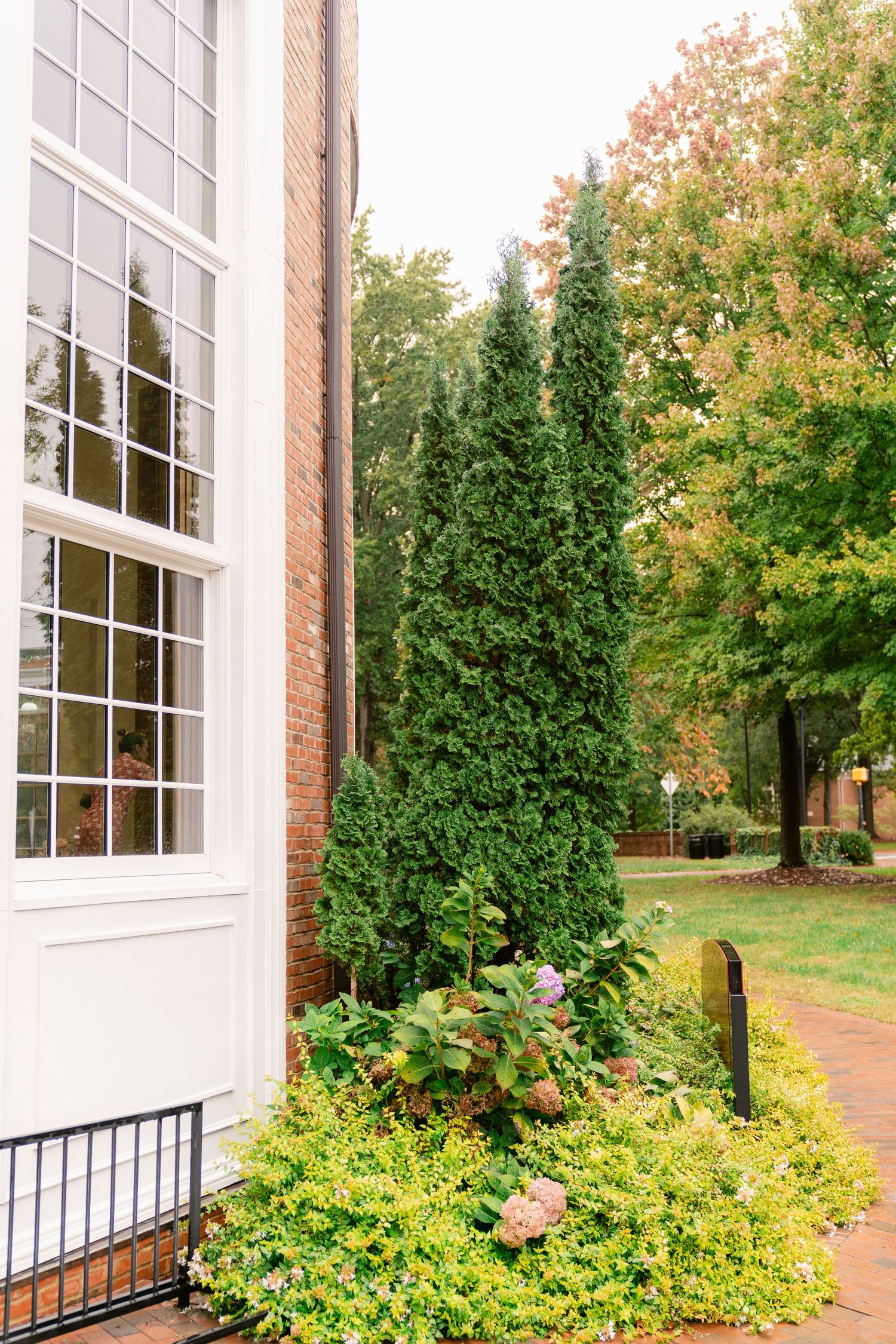 White colonial style building exterior with large windows and landscaped garden featuring evergreen shrubs and fall foliage.