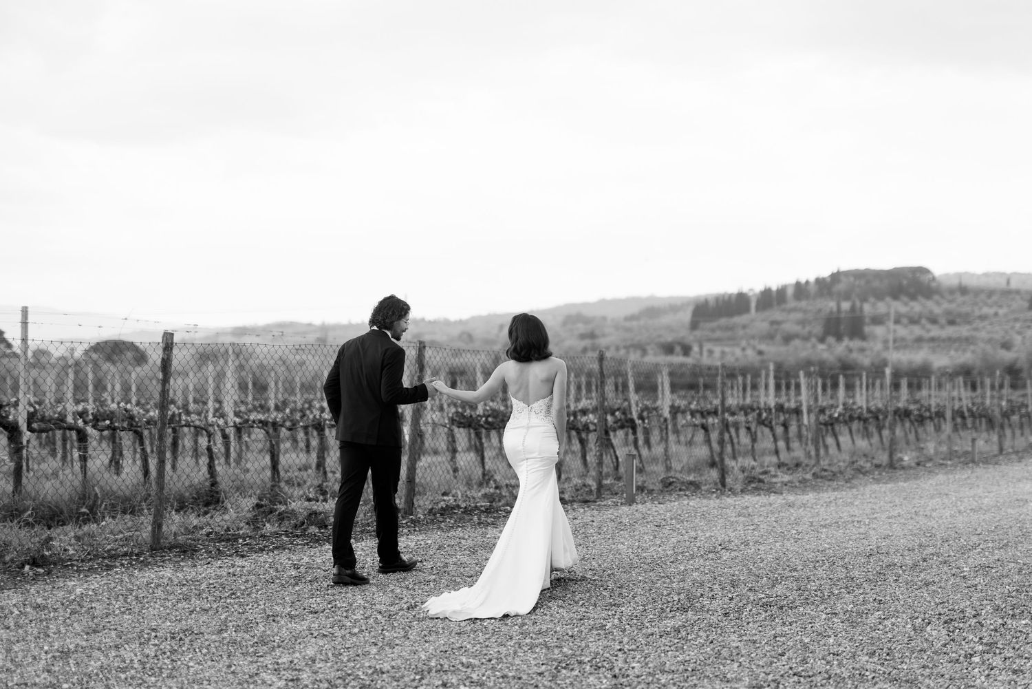 A series of romantic black and white photos showing a couple in a vineyard during their wedding day.