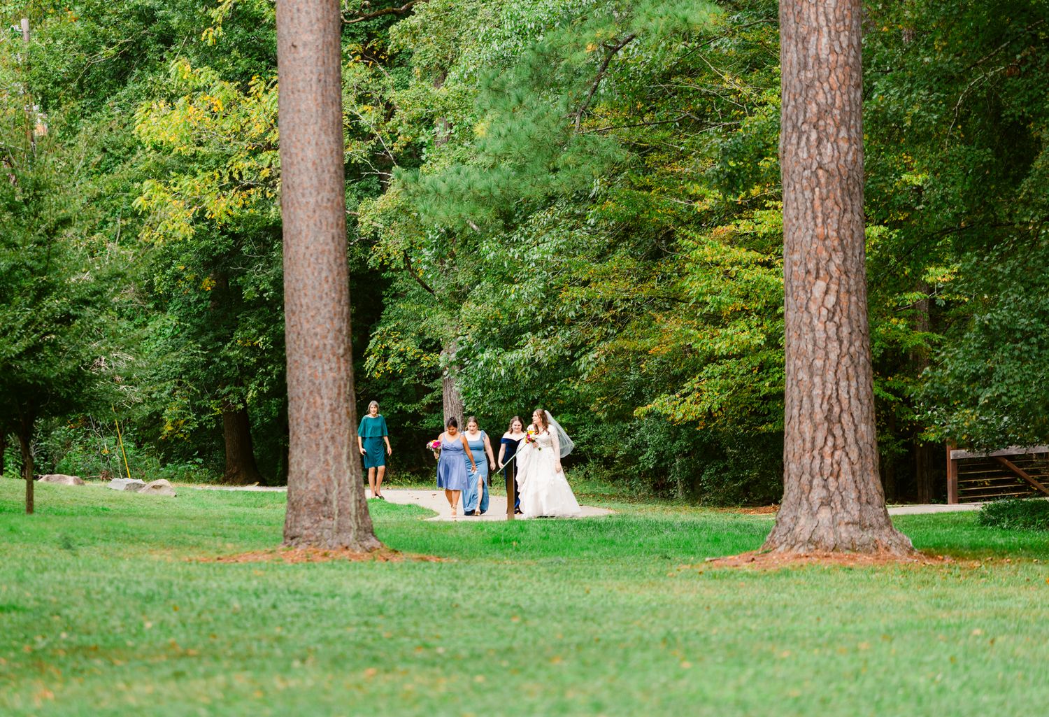 A scenic outdoor wedding ceremony takes place between tall pine trees on a grassy lawn.