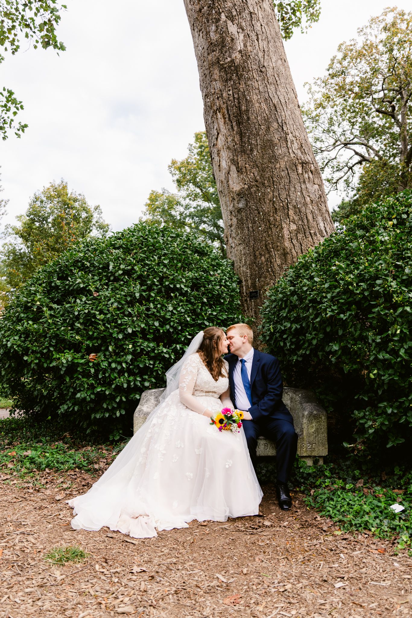 Romantic wedding couple shares intimate moments under large trees in a garden setting across multiple photos.