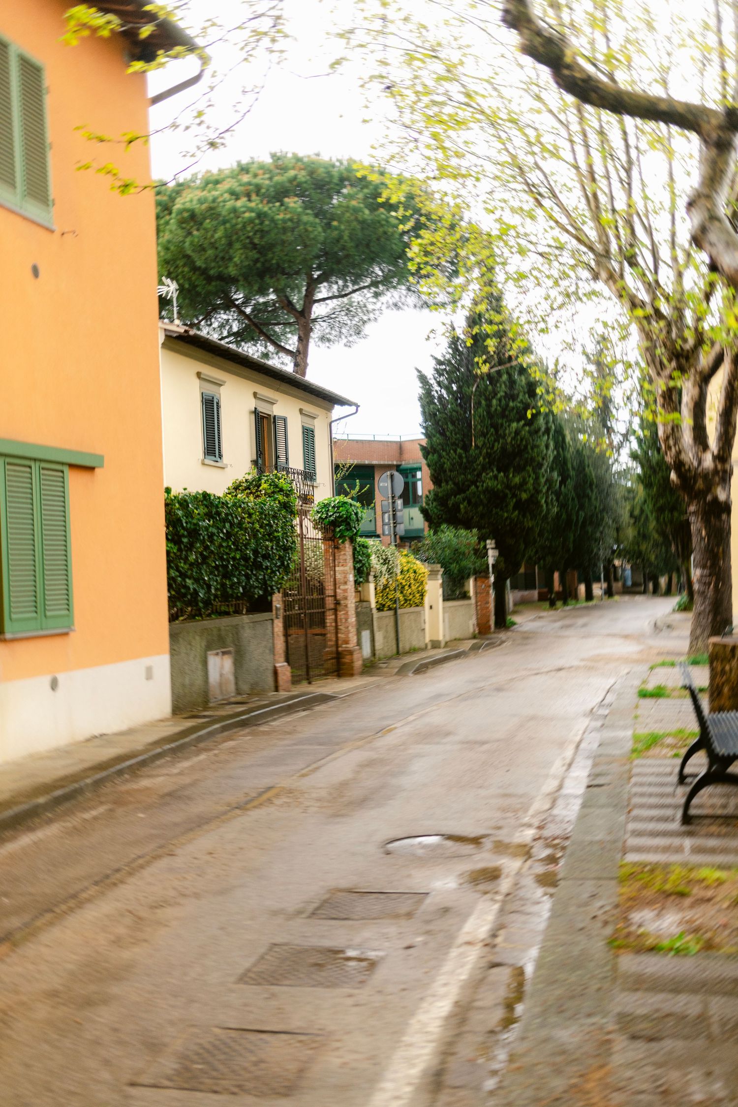 Quiet residential street with green shuttered buildings and trees lining a curved uphill path on a rainy day.