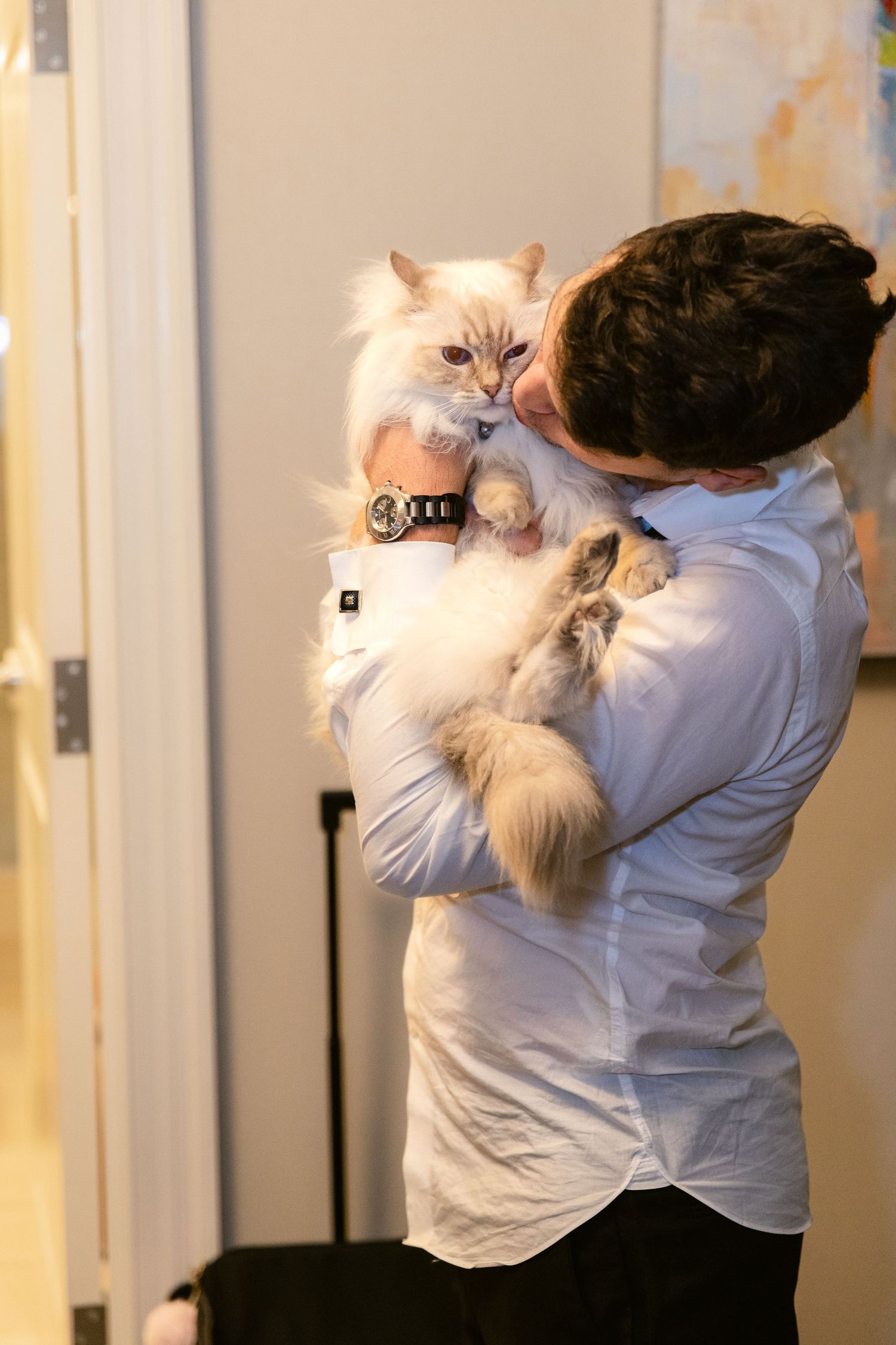 Four sequential photos show a person in white clothing holding and hugging a fluffy white cat in different poses.