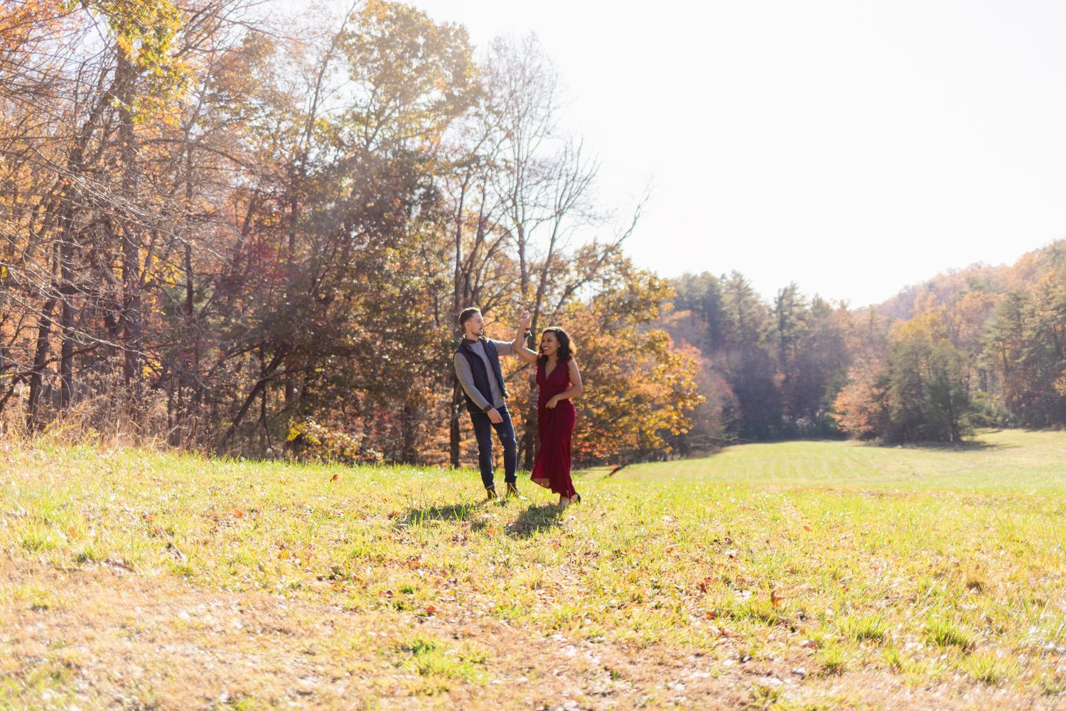 A series of autumn landscape photos showing golden trees and meadows in warm sunlight during fall season.