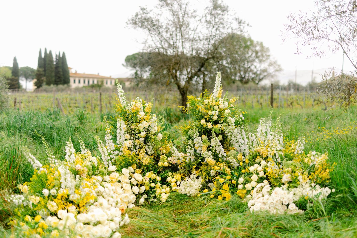 A panoramic view of white and yellow wildflowers blooming in a lush green meadow on a spring day.