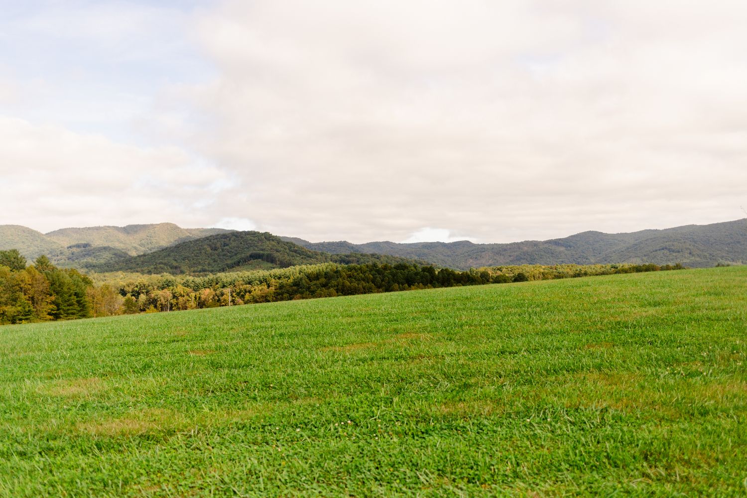 Rolling green hills stretch across a scenic mountain landscape with autumn trees dotting the countryside.