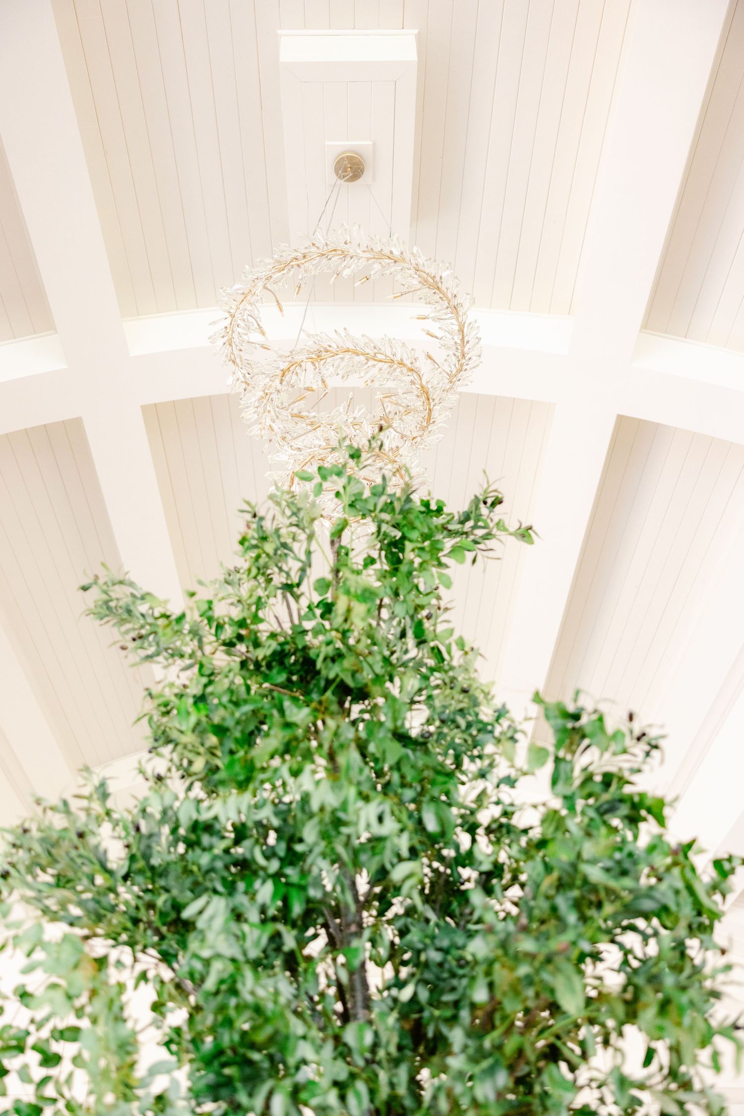 Decorative white lattice ceiling with lush green foliage arrangements creating an elegant ambiance.