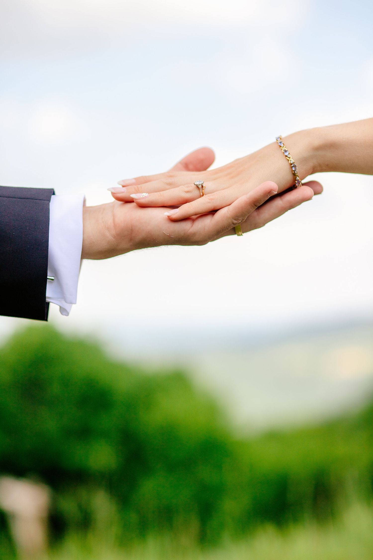 Close-up of bride and groom's hands with wedding rings against blurred natural backdrop.