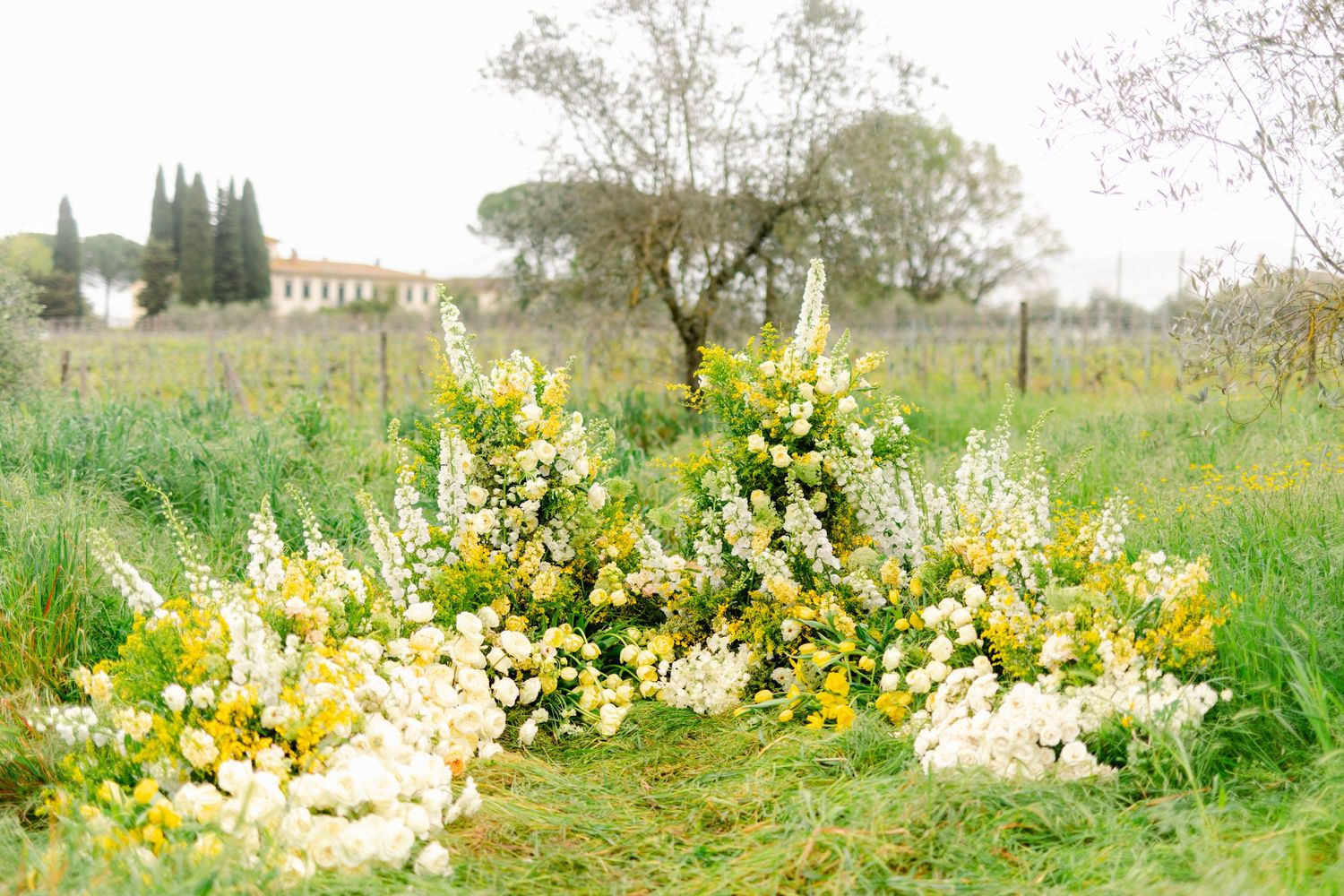 Yellow daffodils bloom in a lush green meadow with trees and buildings visible in the distant background.
