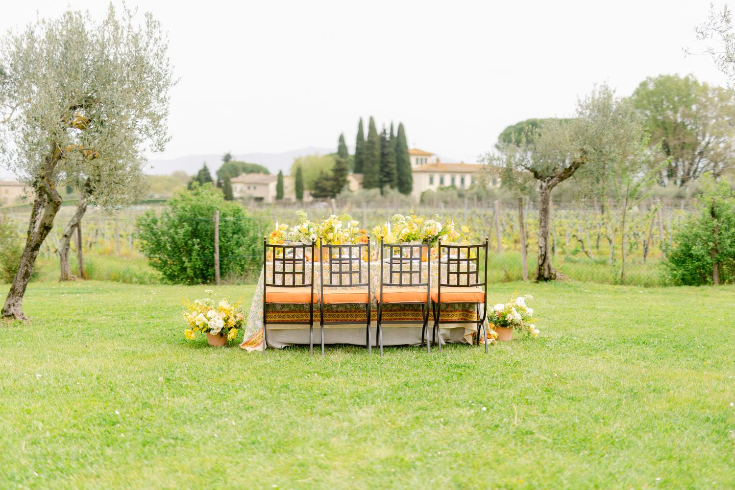 Rustic wooden benches overlook a peaceful spring meadow with blooming trees and green grass in the countryside.