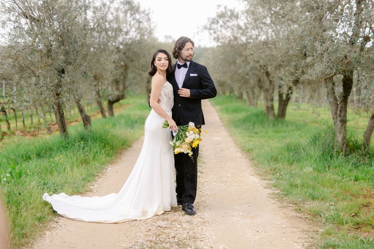 A collection of wedding photos capturing tender moments between a couple among olive trees in a rustic setting.