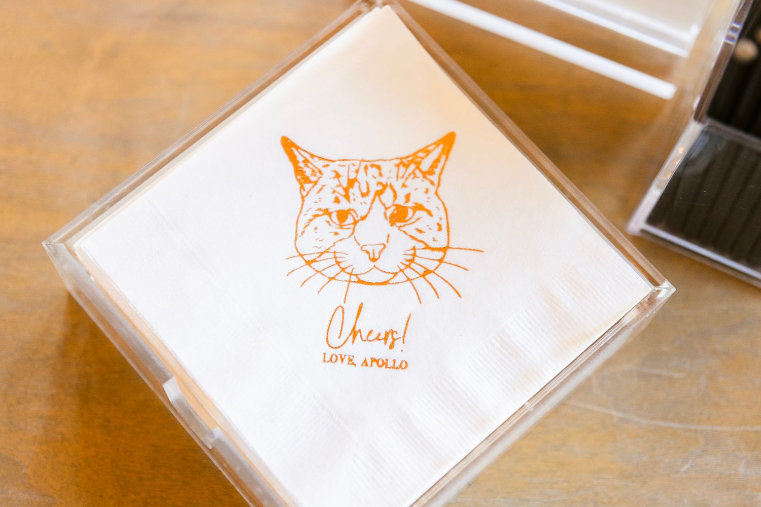 Orange cat illustration logo design printed on white napkin in clear acrylic holder.