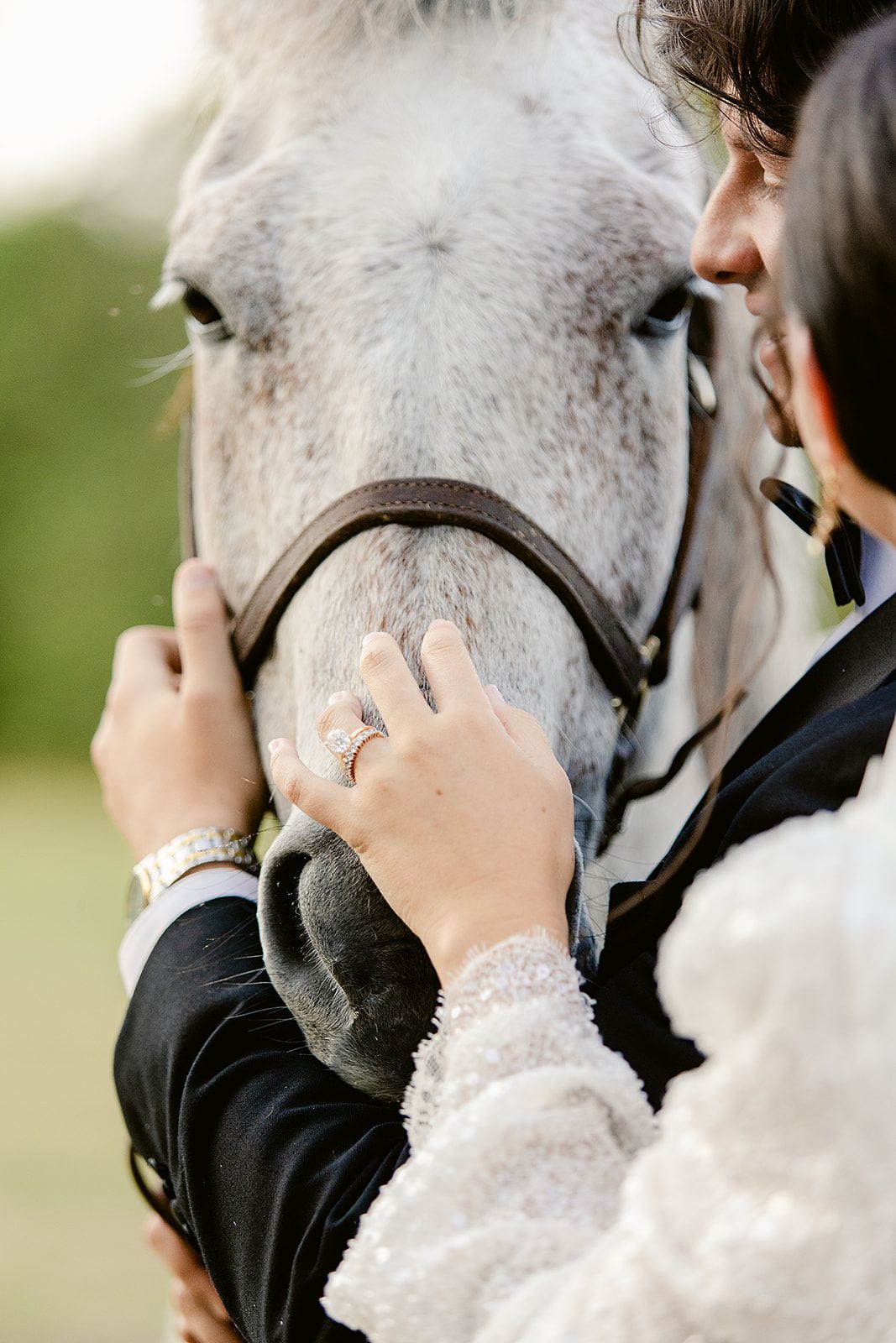 Gray horse nuzzles against someone wearing formal attire in an outdoor setting.