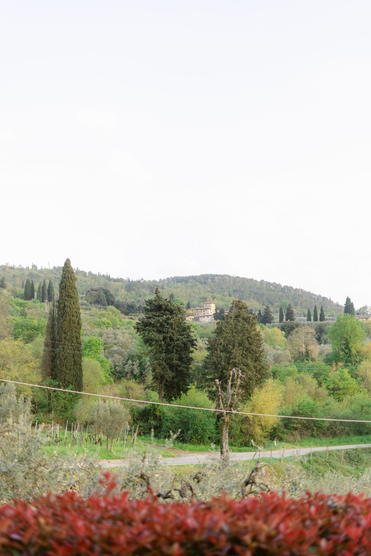 Rolling Tuscan hills dotted with cypress trees and red foliage create a scenic panoramic landscape view.