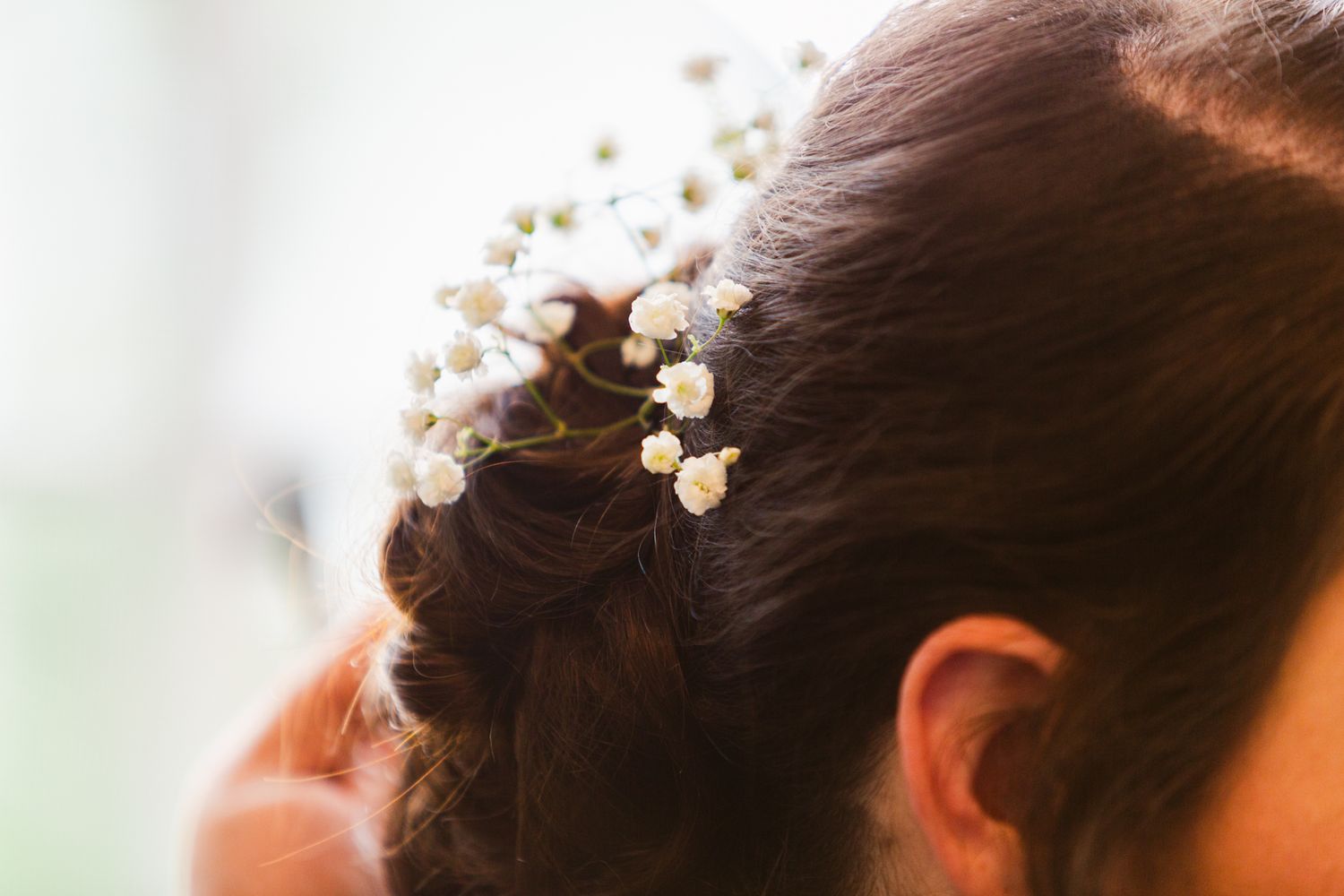 Delicate white baby's breath flowers adororn a dark updo hairstyle in soft natural lighting.