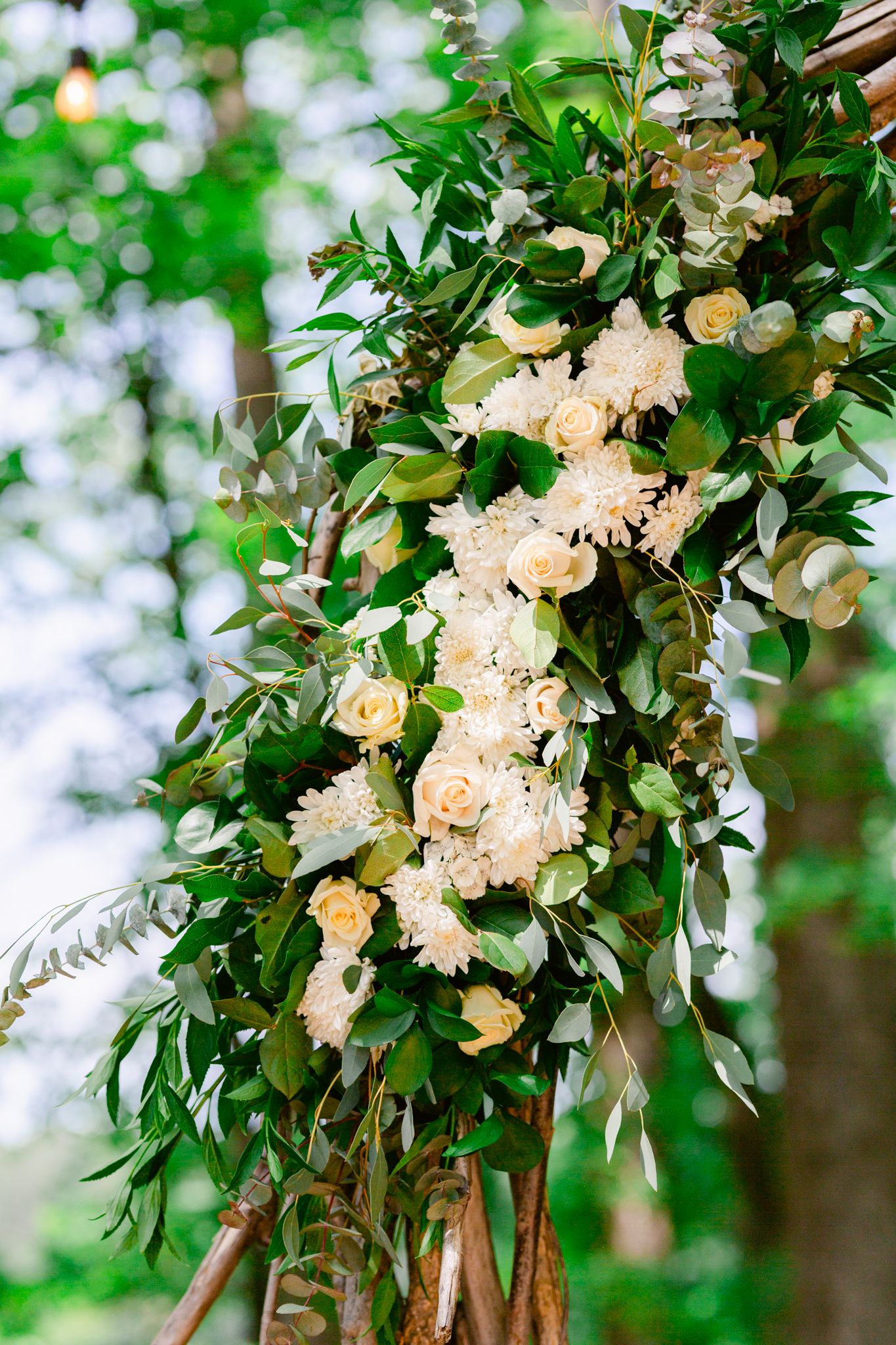 Elegant floral wedding arch decoration with cream roses and greenery against a soft blurred natural background.