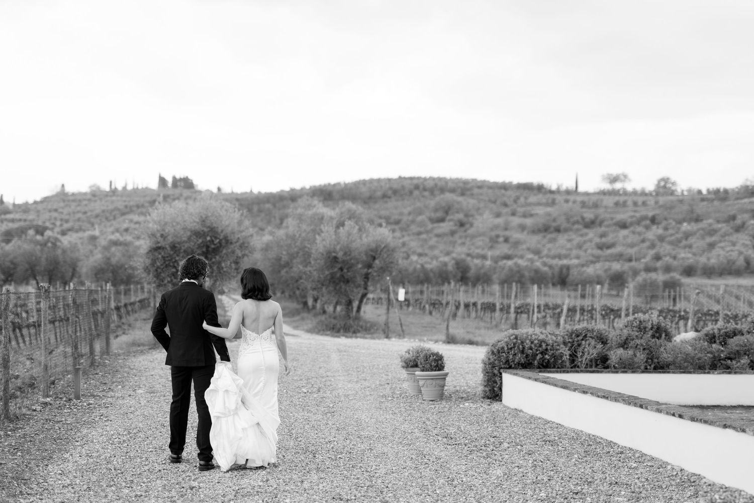 A couple walks hand in hand through a vineyard on a misty day creating a romantic silhouette against the landscape.