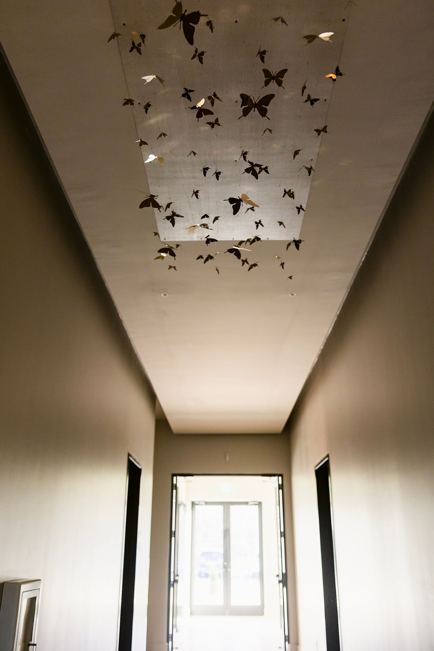 A minimalist hallway with black butterfly silhouettes arranged on the white ceiling creates an artistic floating effect.