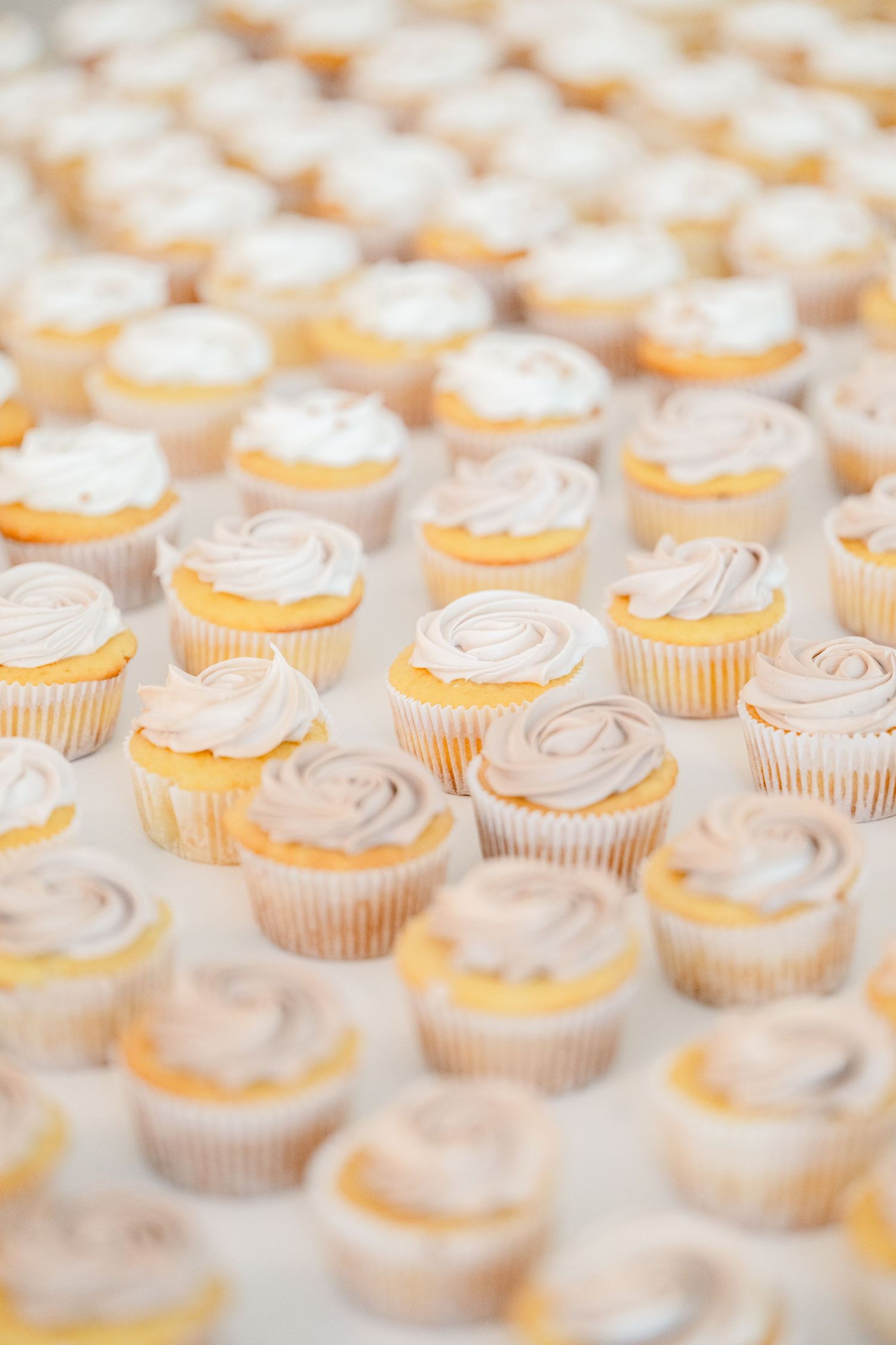 Rows of vanilla cupcakes with swirled white frosting arranged in a repeating pattern on a display.