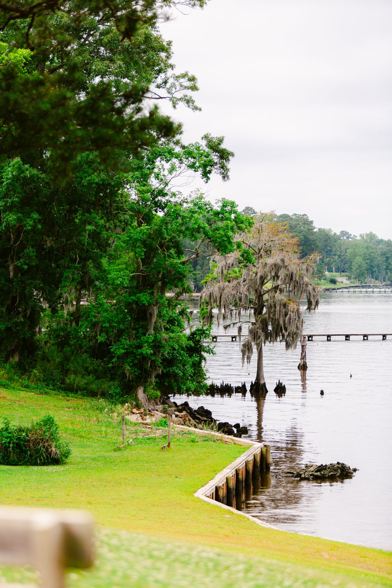 Scenic waterfront view of a lake with cypress trees and wooden docks surrounded by lush greenery and Spanish moss.