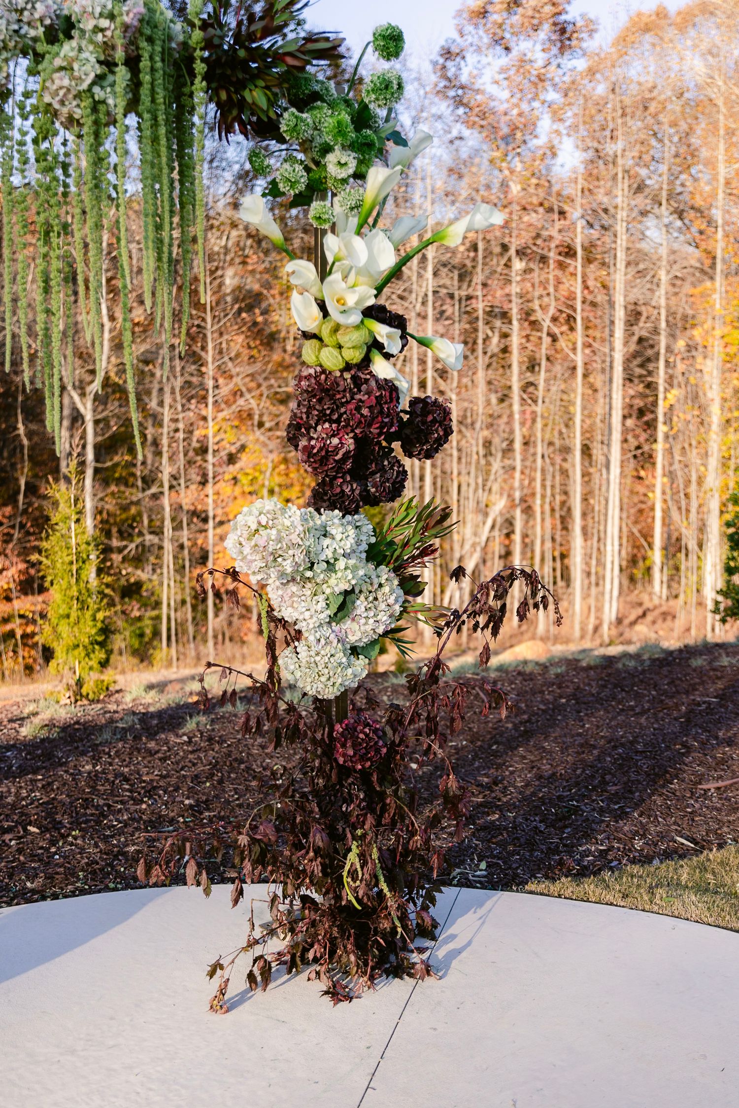 A series of time-lapse photos showing a floral arrangement suspended in air against an autumn forest backdrop.