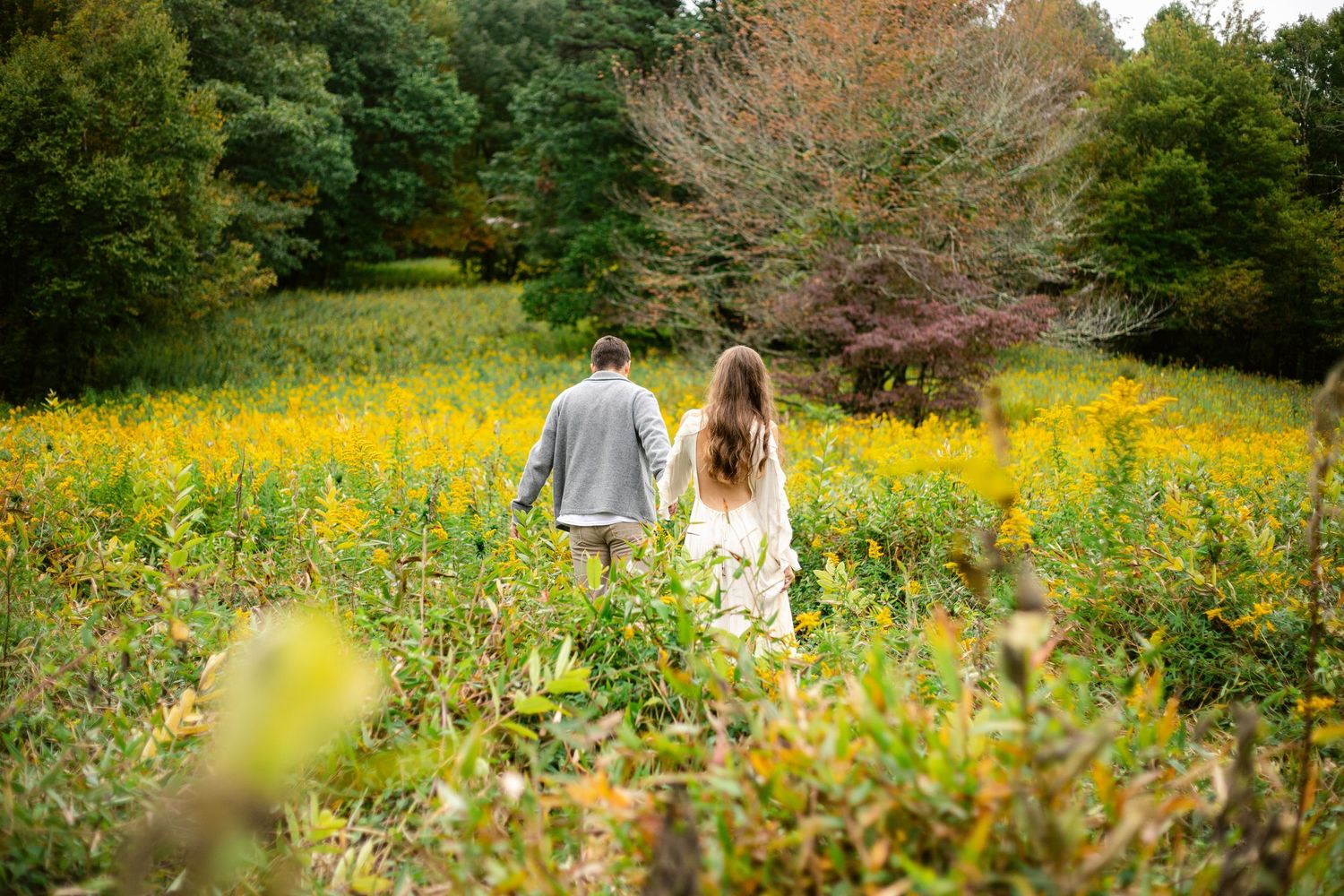 Person walking through vibrant yellow wildflower meadow surrounded by lush green trees on a sunny day.