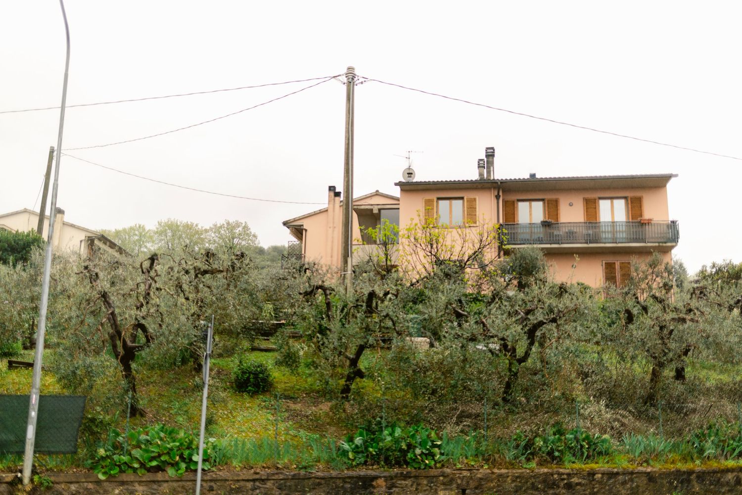 Rolling hillside with olive trees and rustic houses scattered across the rural Italian countryside landscape.