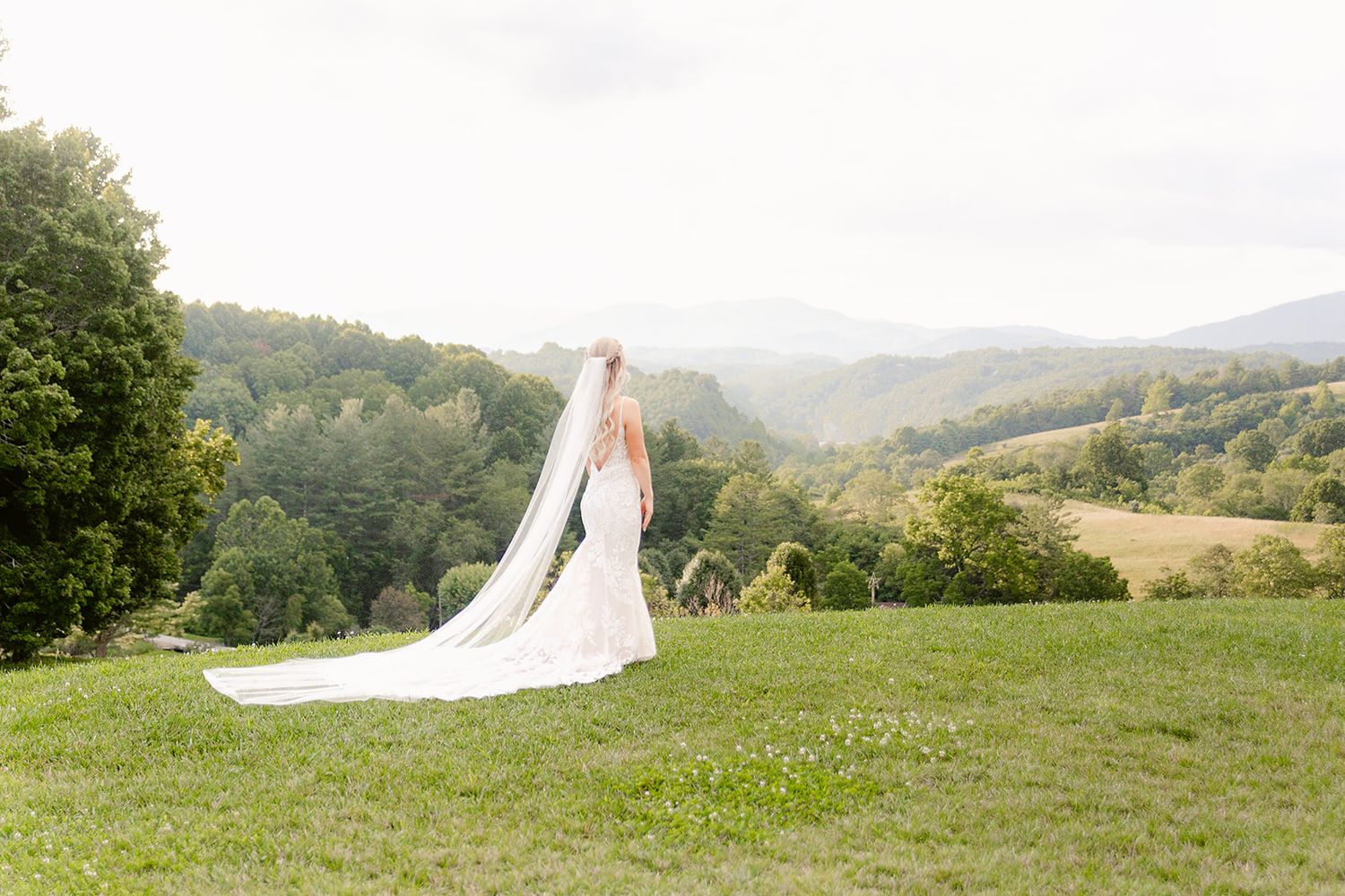 A flowing white wedding dress trails elegantly across a sunlit hilltop meadow with mountain views in the background.