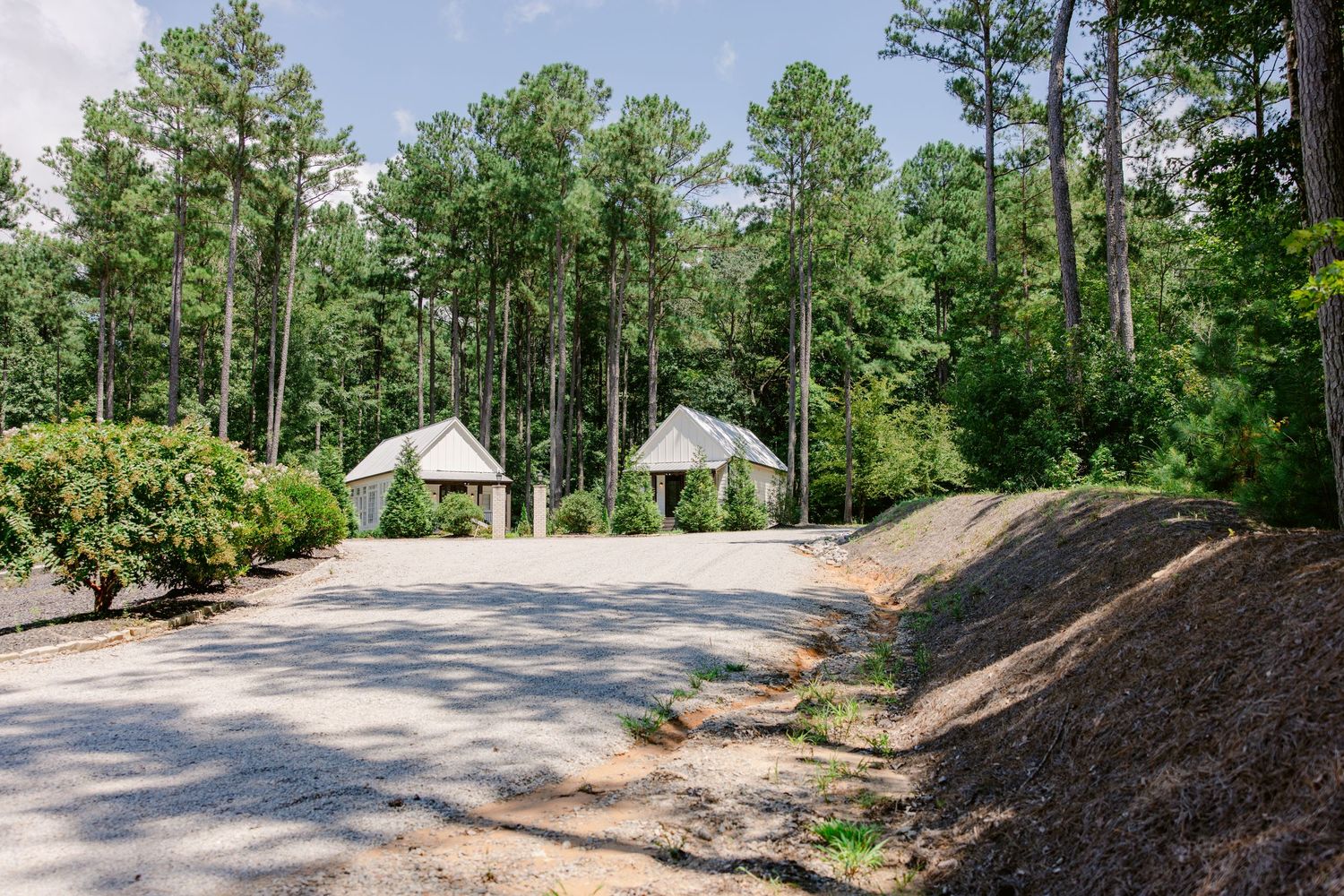 Scenic outdoor wedding venue with tall pine trees and natural pathways.