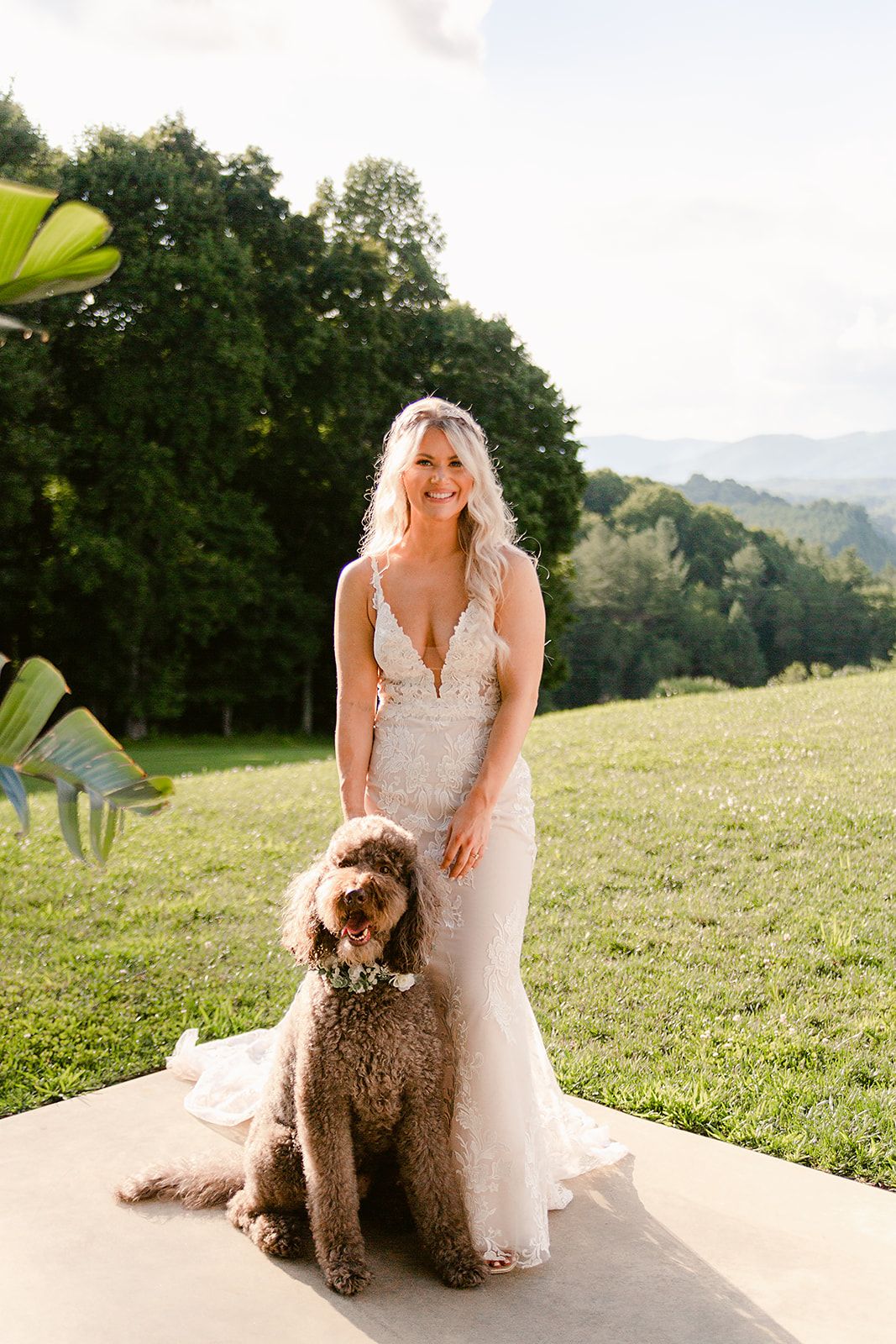 A bride in a white lace wedding dress poses with a fluffy brown labradoodle dog on a grassy hilltop.