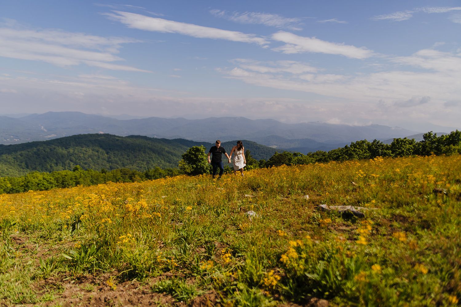 A panoramic mountain landscape with rolling hills, wildflowers, and blue skies stretches across the horizon.