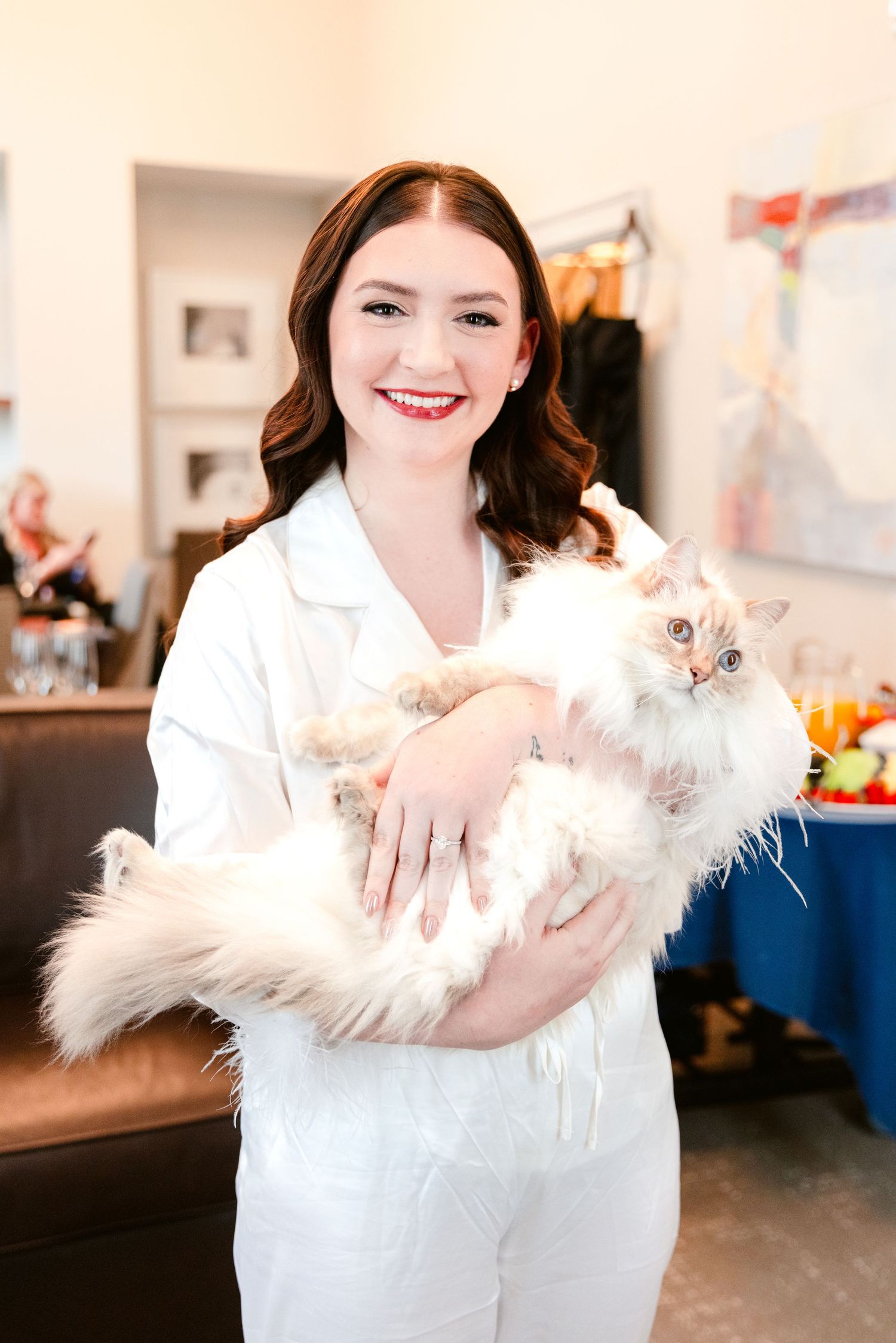 A series of photos showing a fluffy white cat being held and cuddled in a bright indoor setting.