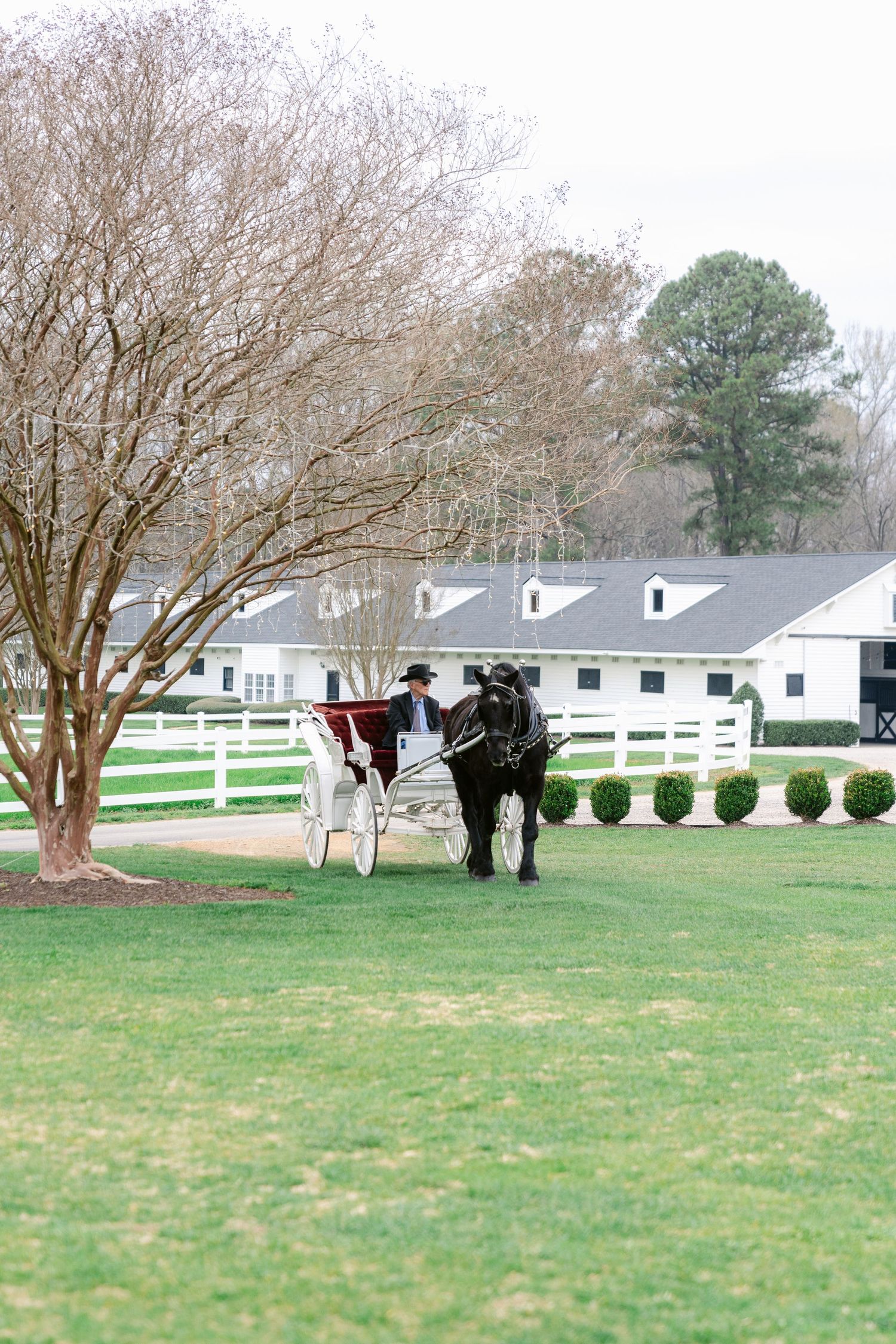 Two horses graze on a green lawn near a white fence and buildings on a peaceful countryside property.
