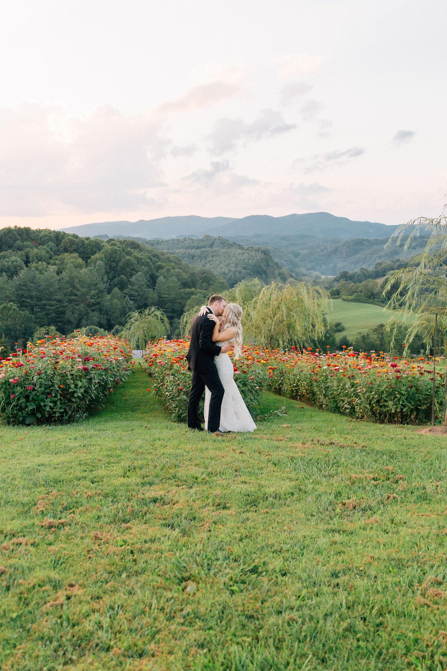 A couple embraces on a hilltop garden with blooming flowers and rolling mountains in the background at sunset.