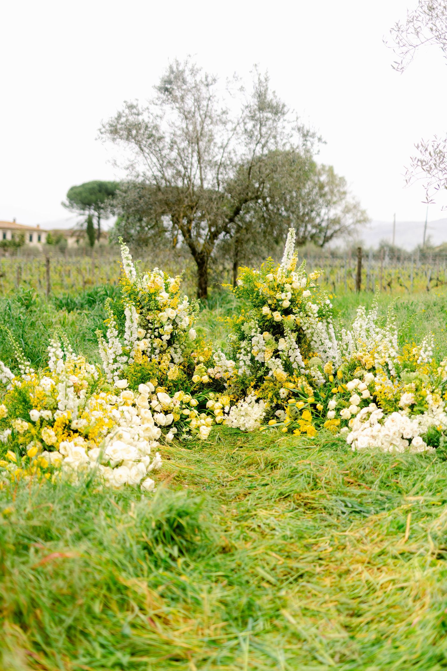 Yellow and white wildflowers bloom in a lush green meadow with trees visible in the background on an overcast day.