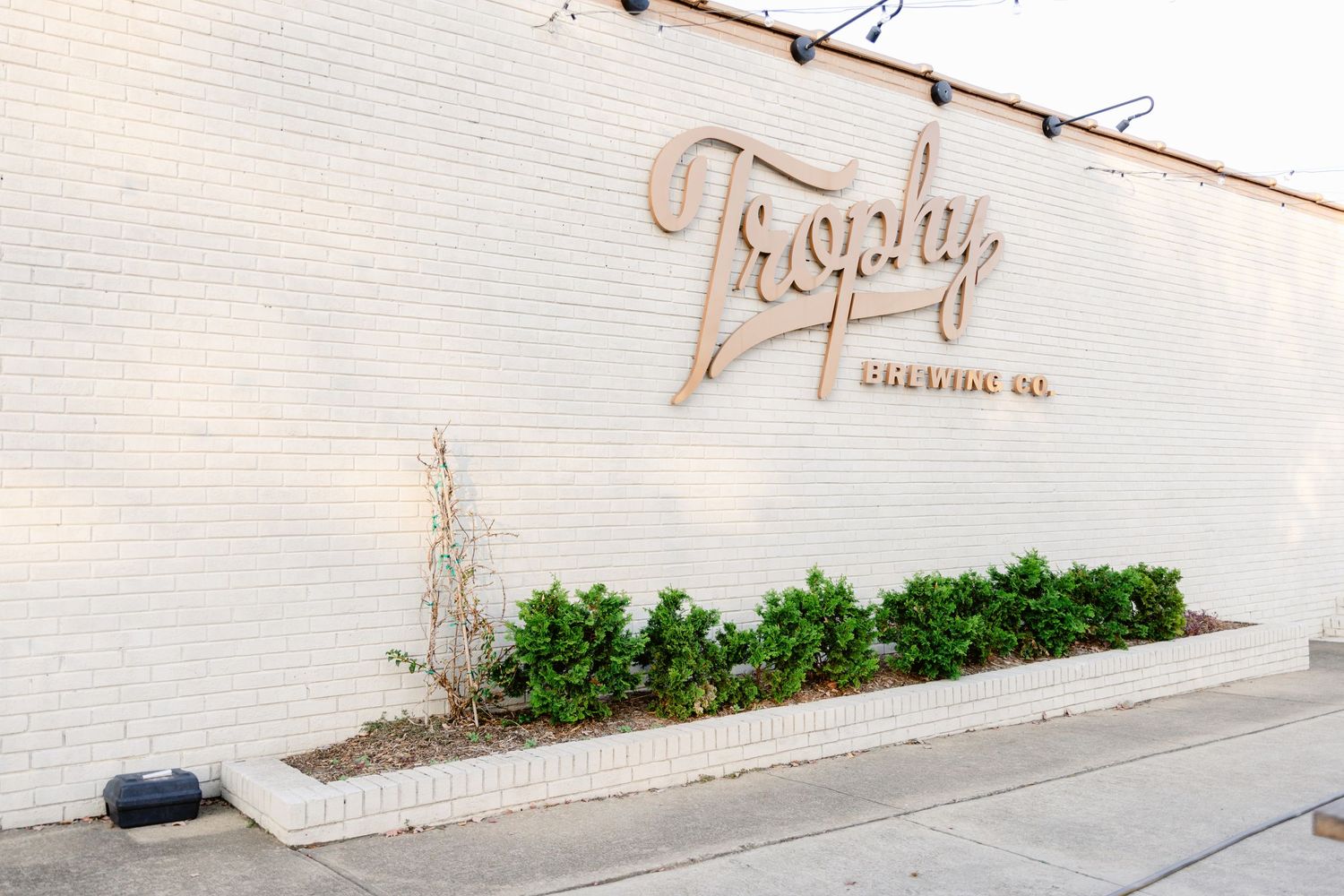 A beige Trophy Brewing Co. sign mounted on a white wall with a row of small green shrubs planted below.