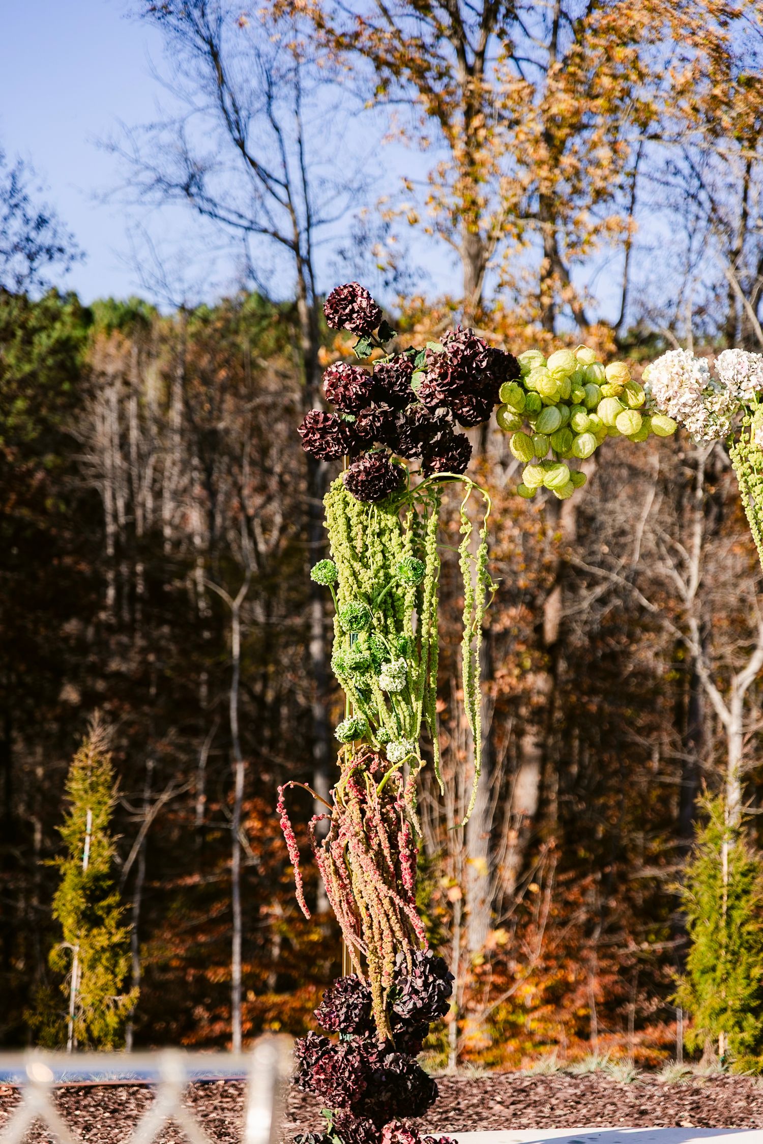 Tall floral arrangement with burgundy blooms and green stems against an autumn forest backdrop.