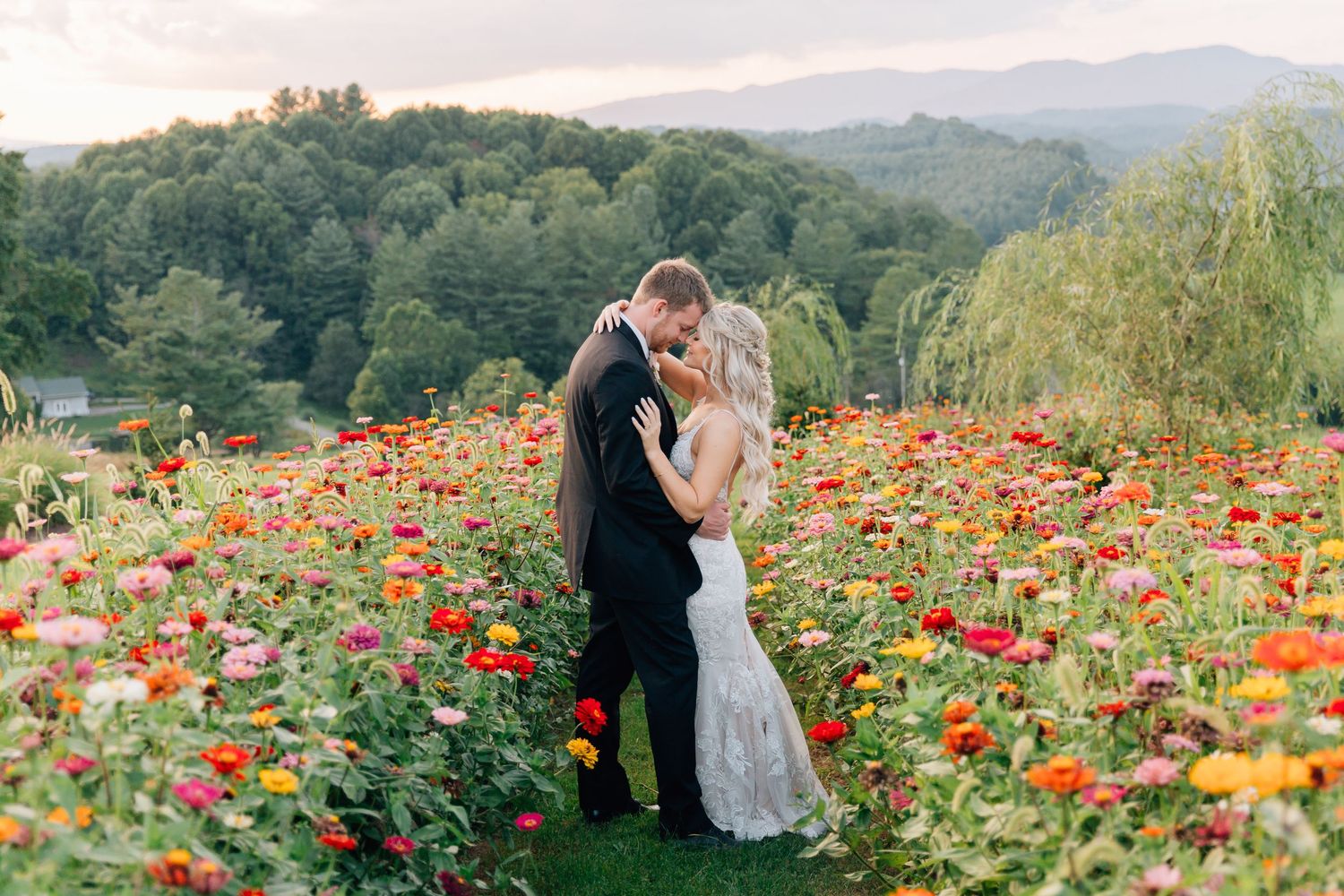 A couple embraces in a vibrant field of orange and red poppies with mountains and trees in the background at sunset.
