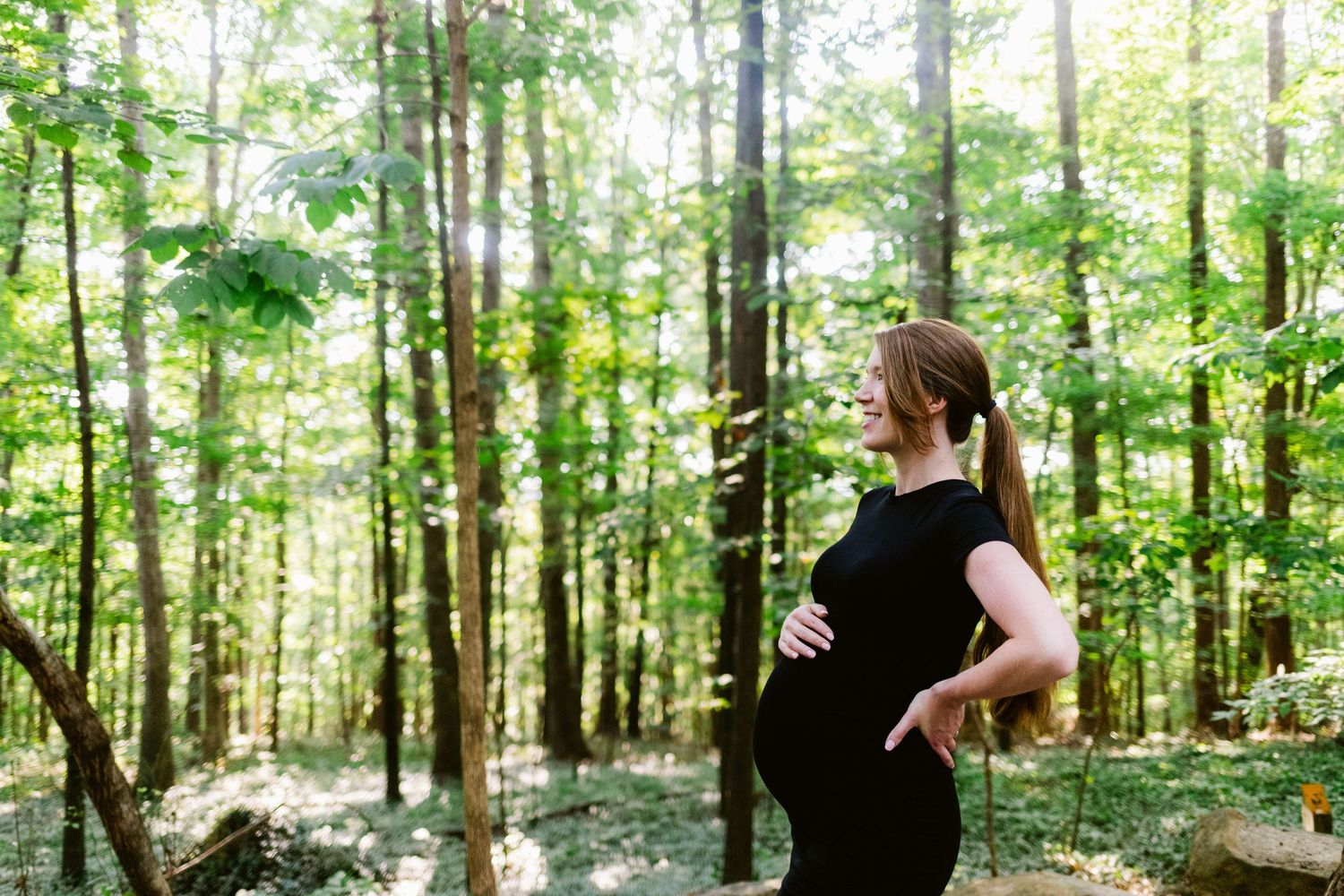 A person in black clothing poses gracefully against a sunlit forest backdrop.
