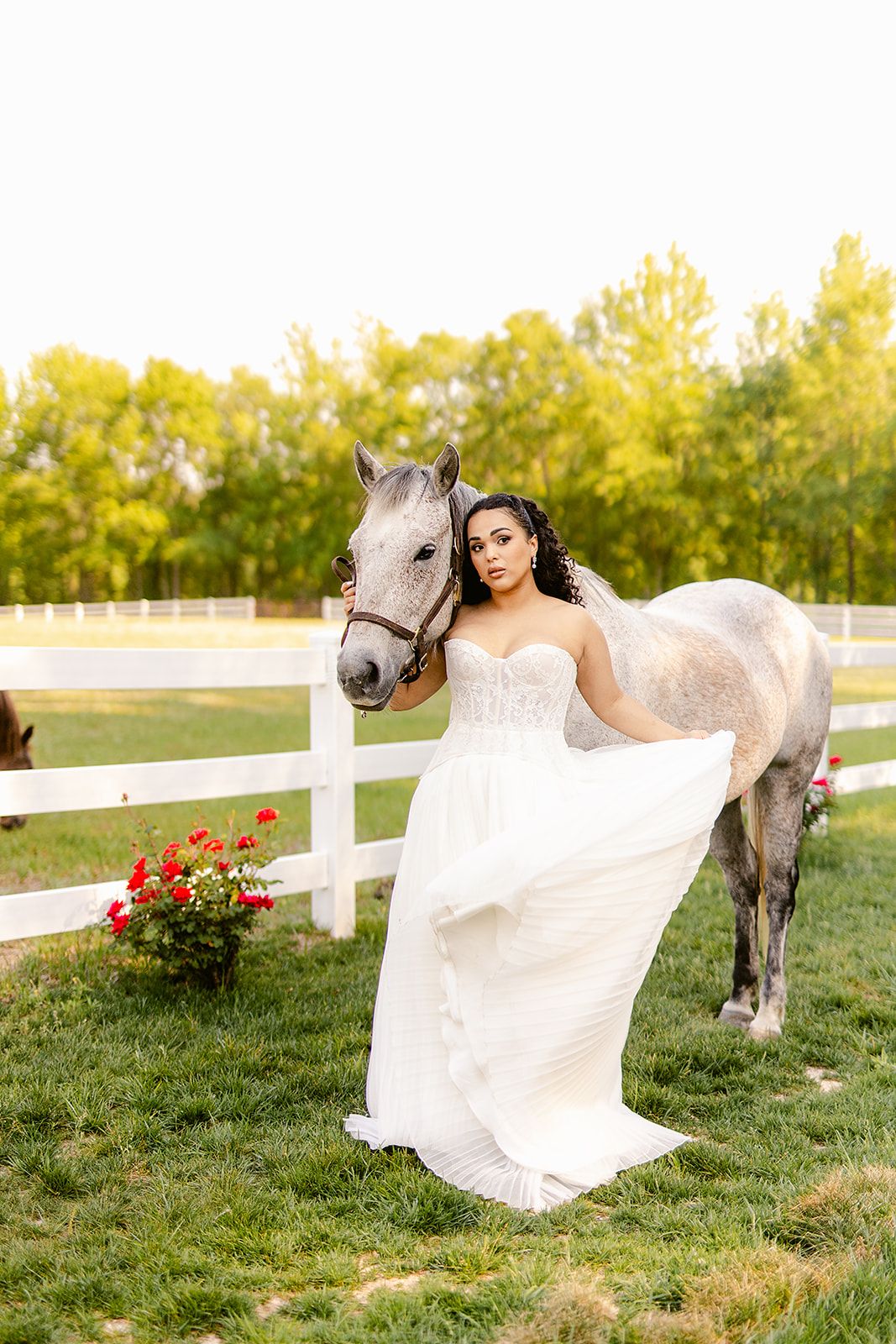 Bride in white strapless gown poses with gray horse by white fence, red roses, and lush green trees at golden hour.