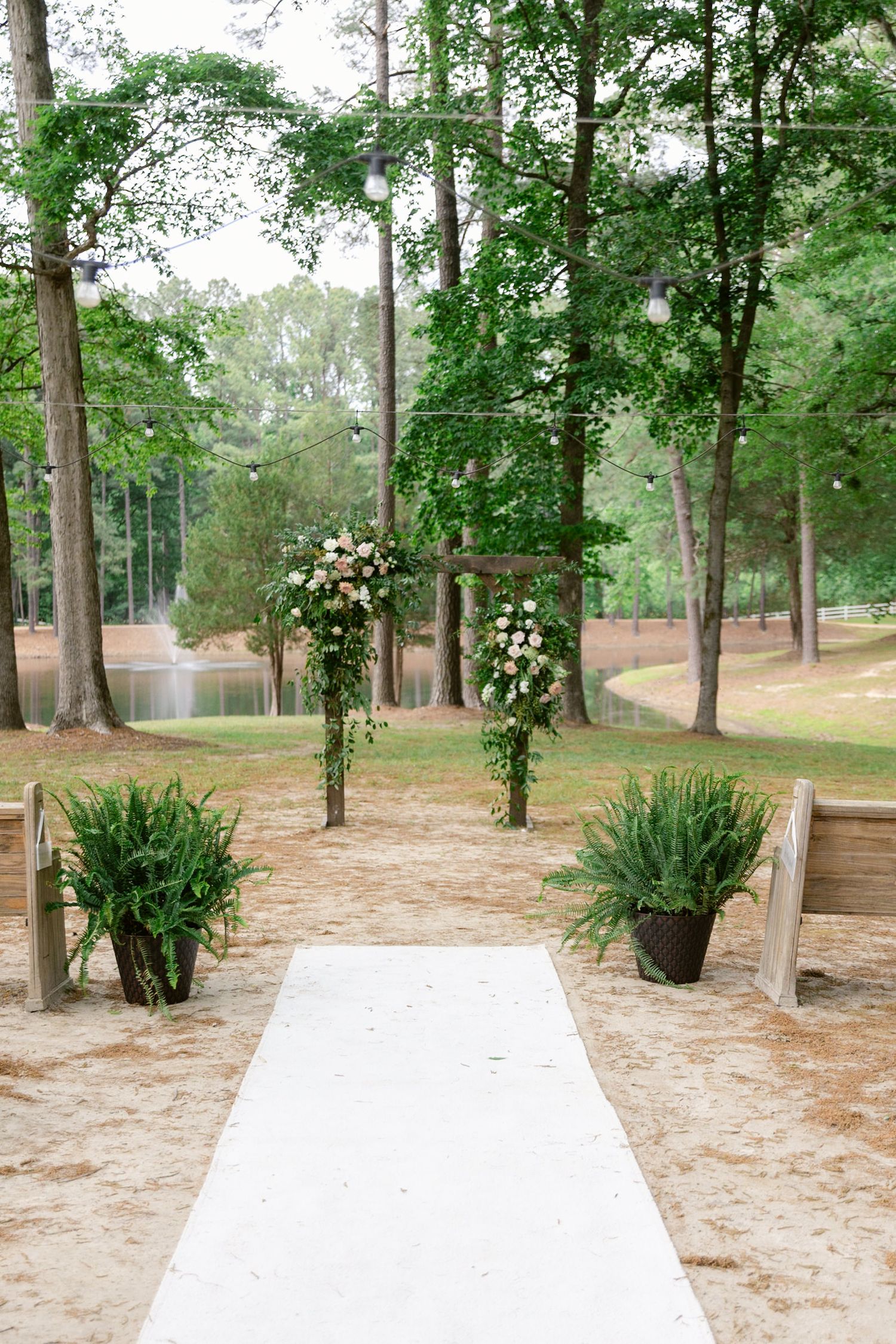 A panoramic view of a wooded garden path with ferns and climbing roses on trellises in a natural landscape setting.