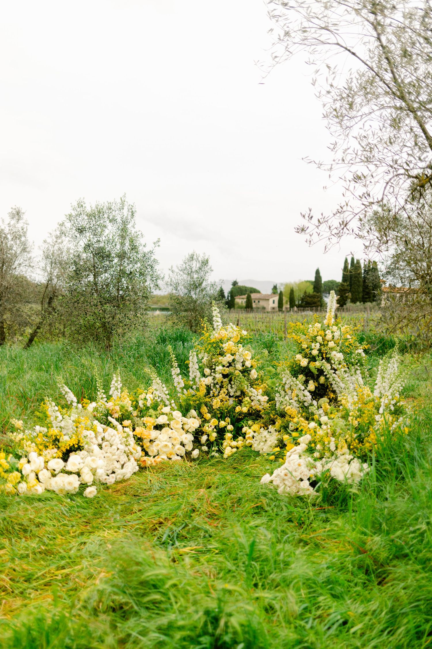 Yellow daffodils bloom in a lush green meadow on a spring day with trees visible in the background.
