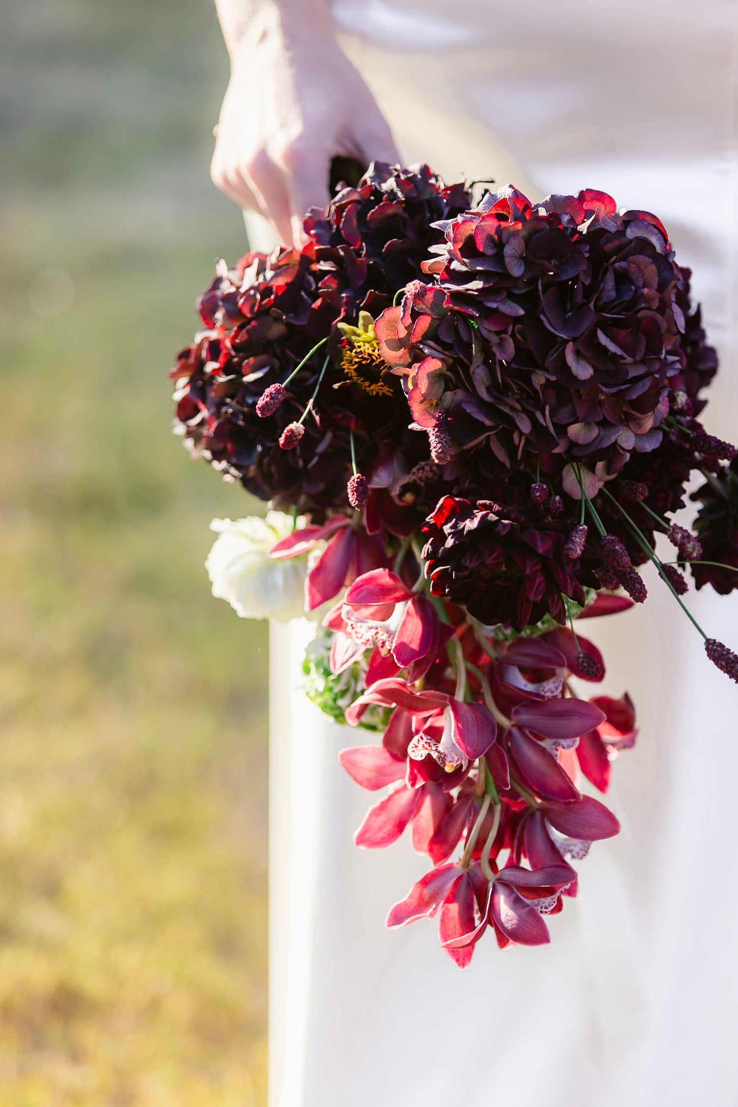 A deep burgundy and pink floral bouquet with hydrangeas and cascading blooms against a sunlit white background.