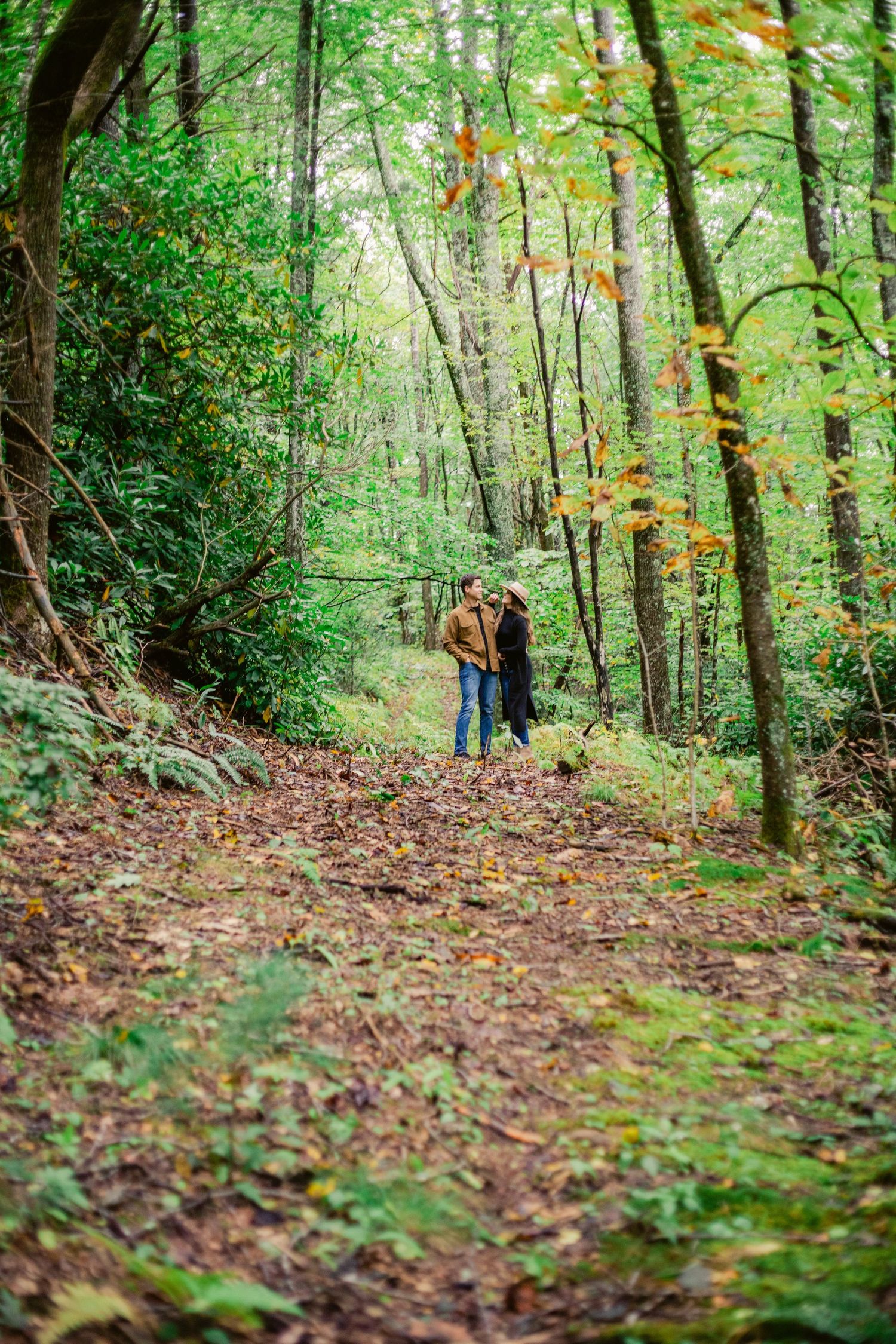 Distant view of a couple walking on a forest trail surrounded by autumn foliage.