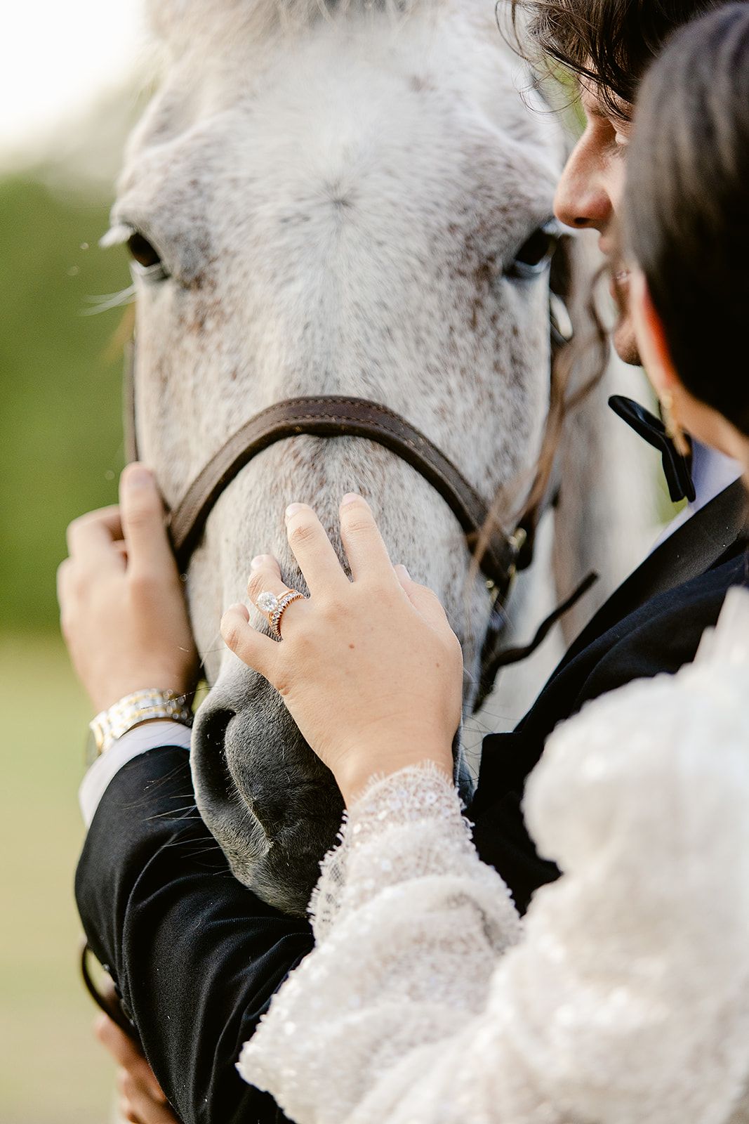 Close up shots of hands petting a white horse's face showing tender affection.