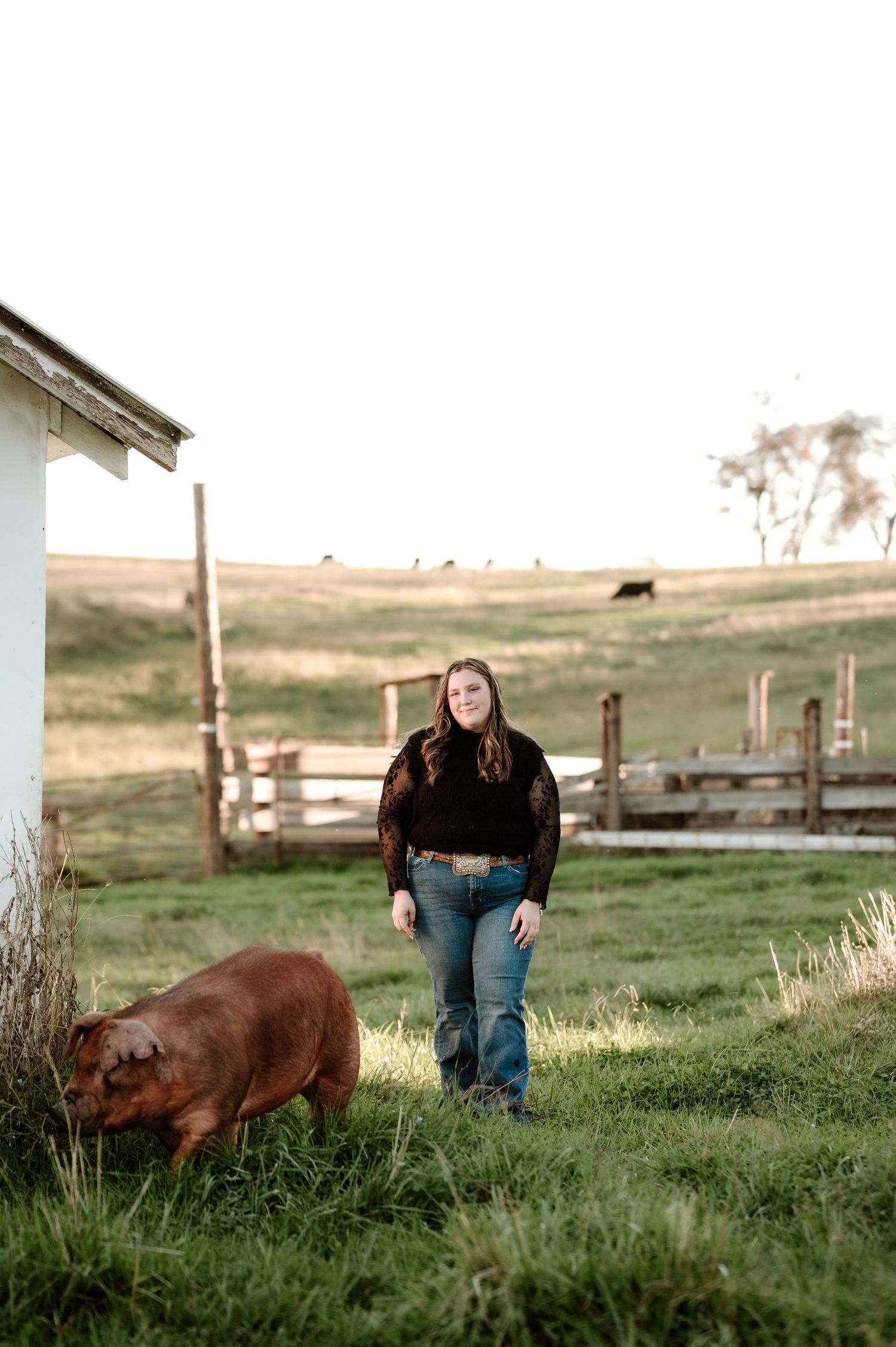 A person stands in a grassy field watching two brown horses grazing on a sunny afternoon.