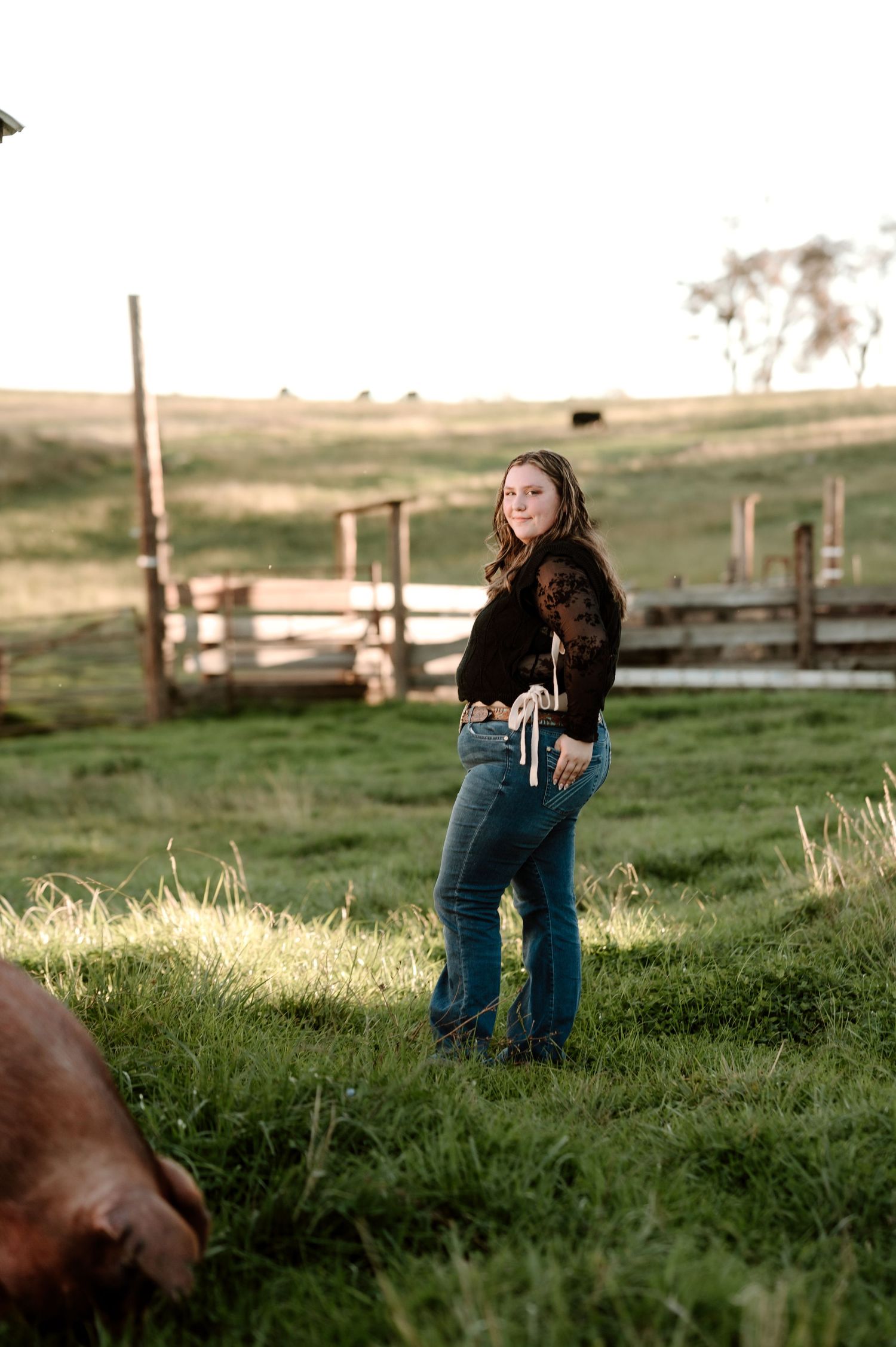 A person in jeans and dark top stands in a sunlit pasture with wooden fencing and grazing animals visible.