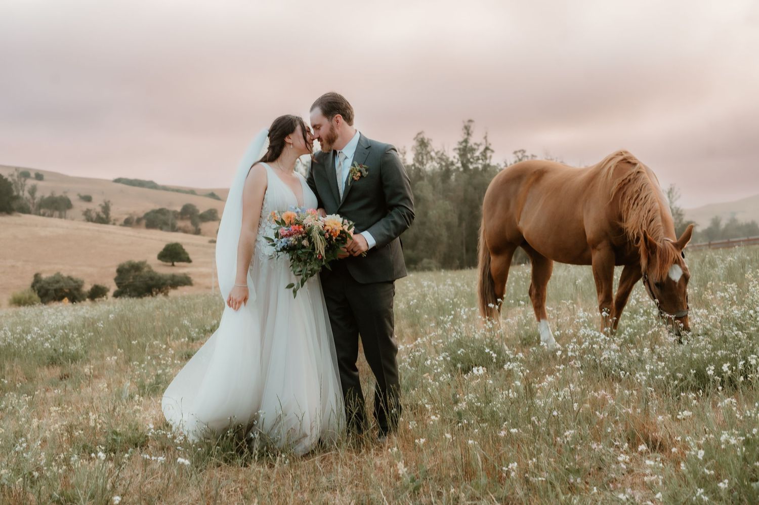 A romantic outdoor wedding photo series featuring a couple in formal attire with horses in a wildflower meadow at sunset.