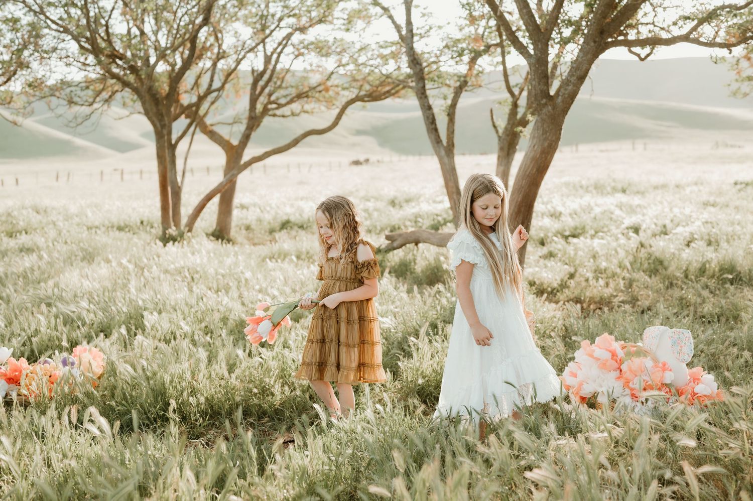 A pair of people surrounded by wildflowers walk together in a dreamy, sunlit field with wispy spring grasses.